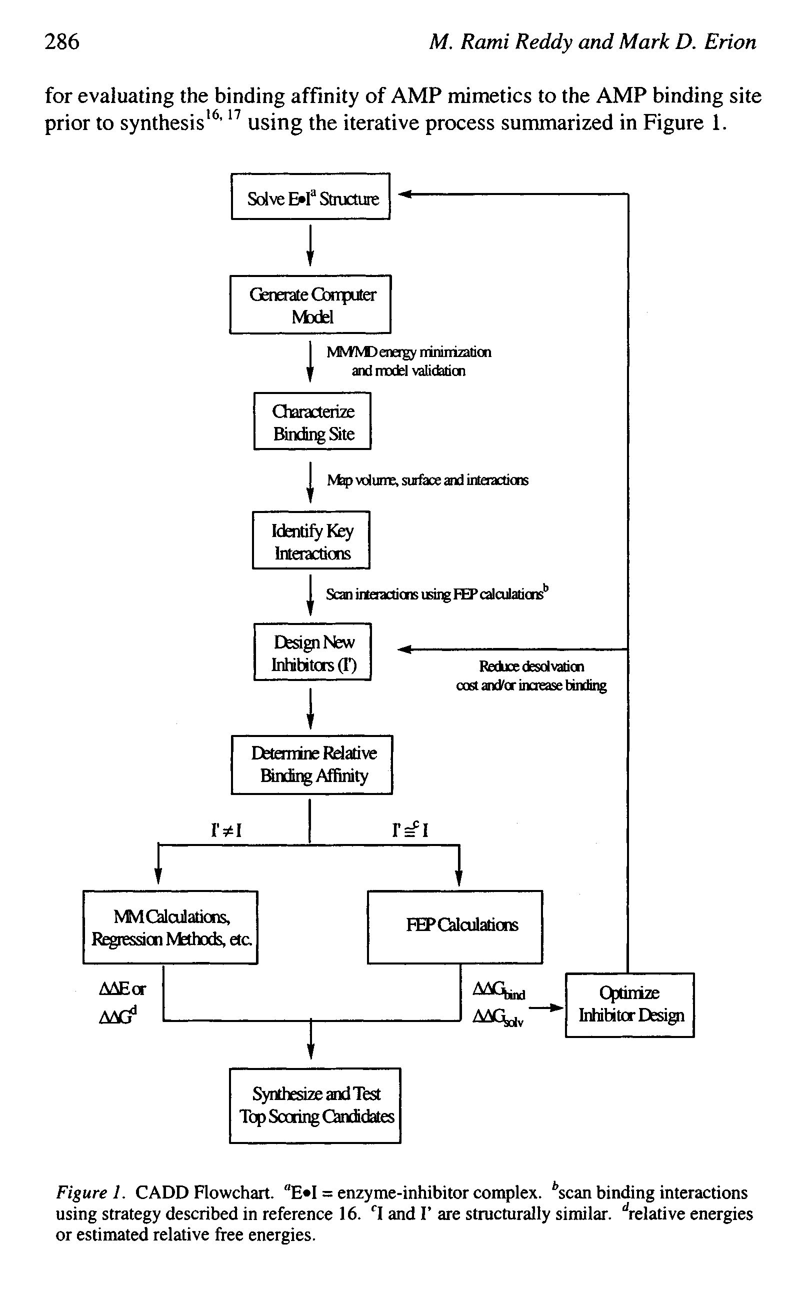 Figure 1. CADD Flowchart. "E I = enzyme-inhibitor complex. Ascan binding interactions using strategy described in reference 16. T and I are structurally similar, relative energies or estimated relative free energies.