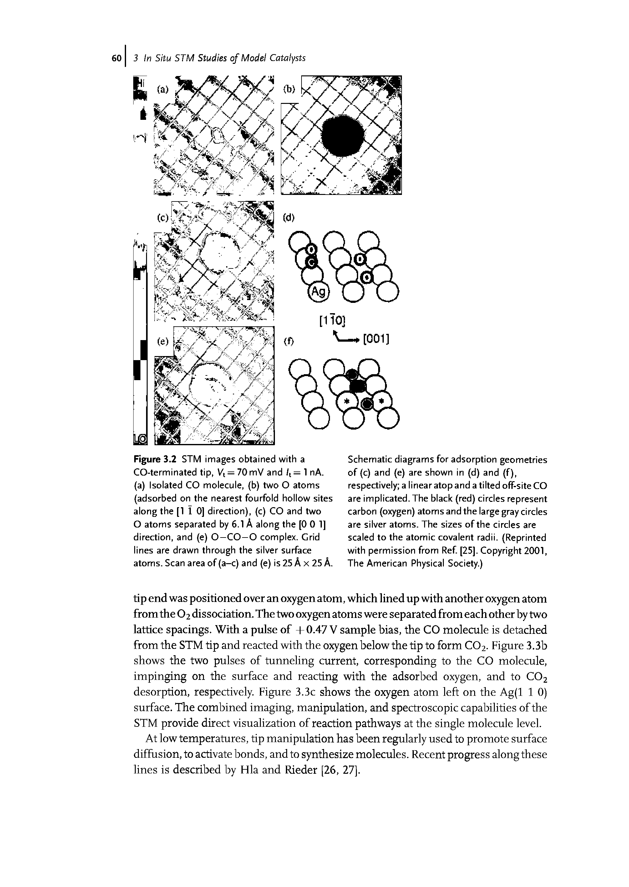 Schematic diagrams for adsorption geometries of (c) and (e) are shown in (d) and (f), respectively a linear atop and a tilted off-site CO are implicated. The black (red) circles represent carbon (oxygen) atoms and the large gray circles are silver atoms. The sizes of the circles are scaled to the atomic covalent radii. (Reprinted with permission from Ref. [25]. Copyright 2001, The American Physical Society.)...