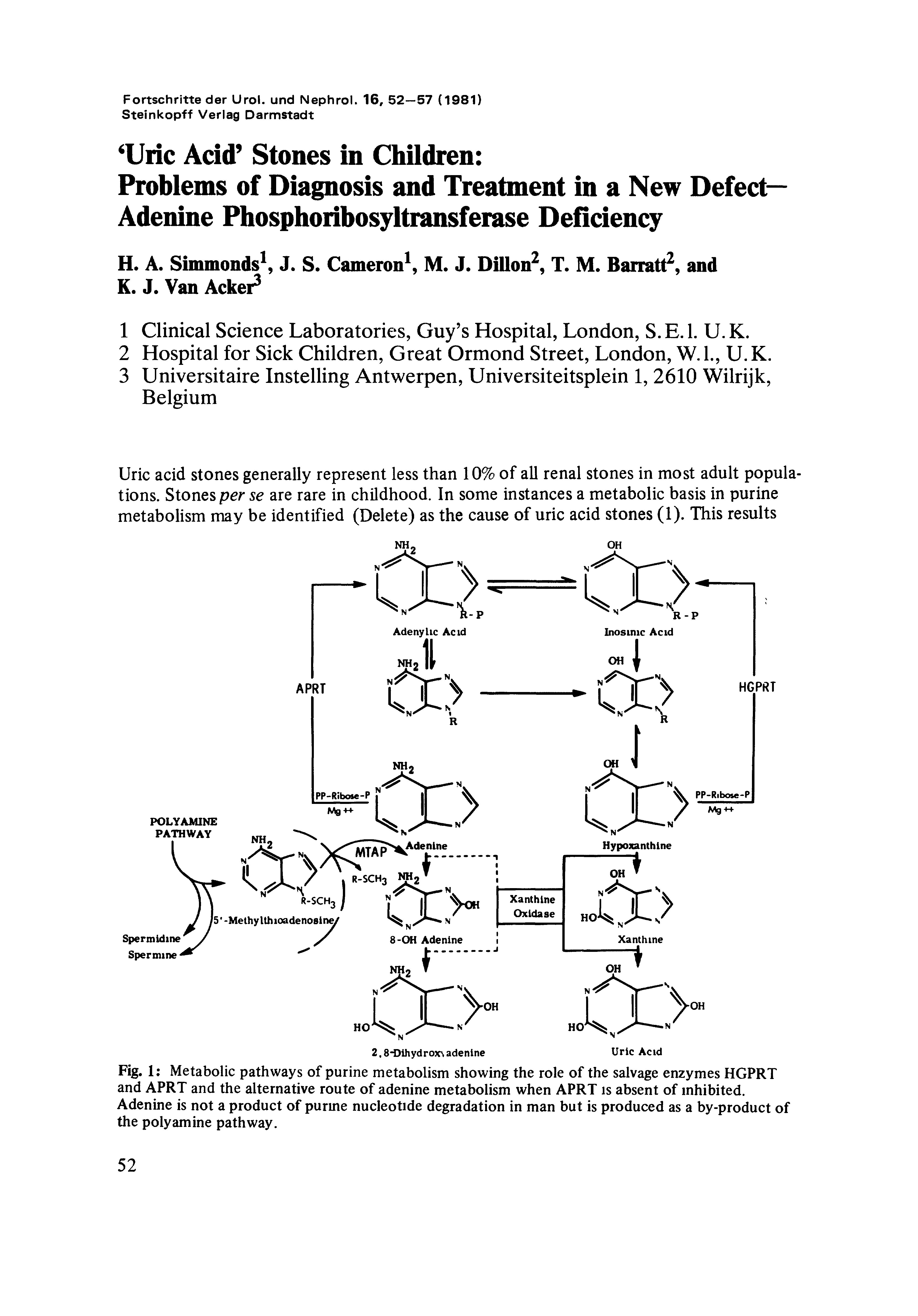 Fig. 1 Metabolic pathways of purine metabolism showing the role of the salvage enzymes HGPRT and APRT and the alternative route of adenine metabolism when APRT is absent of inhibited. Adenine is not a product of purme nucleotide degradation in man but is produced as a by-product of the poly amine pathway.