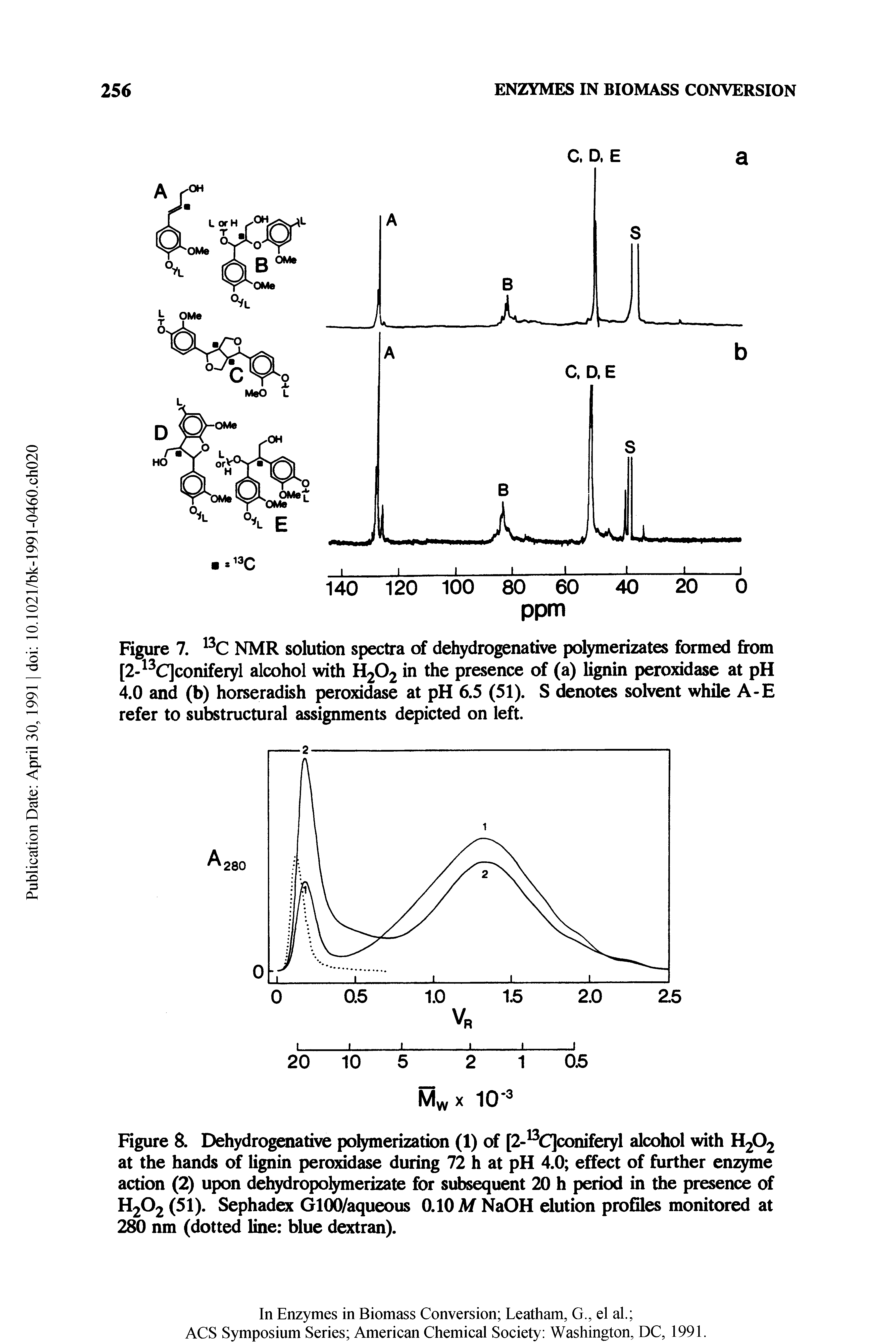 Figure 8. Dehydrogenative po erization (1) of [2- C]coniferyl alcohol with H2O2 at the hands of lignin peroxidase during 72 h at pH 4.0 effect of further enzyme action (2) upon dehydropolymerizate for subsequent 20 h period in the presence of H2O2 (51). Sephadex GlOO/aqueous O.IOM NaOH elution profiles monitored at 280 nm (dotted line blue d ran).