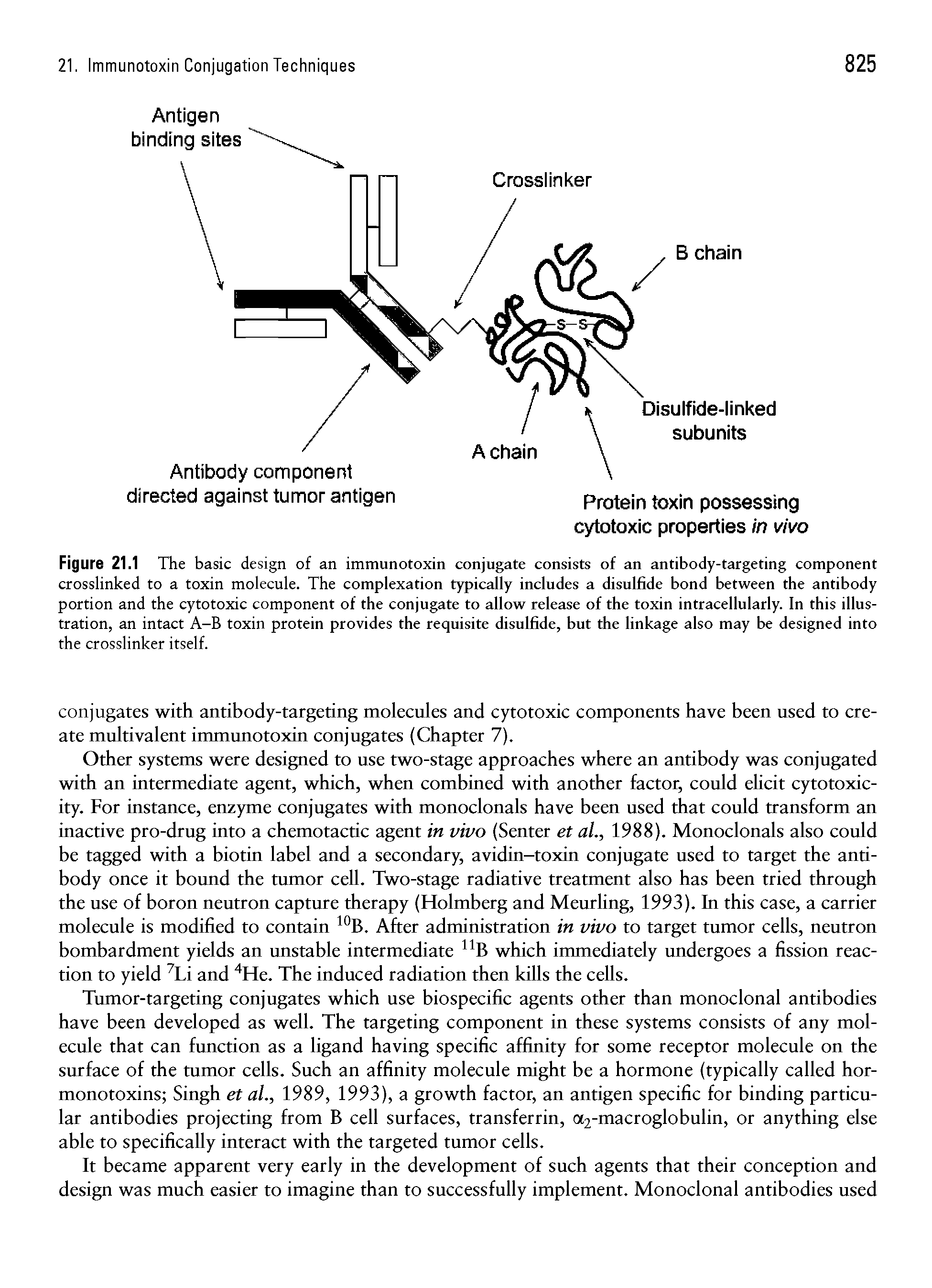 Figure 21.1 The basic design of an immunotoxin conjugate consists of an antibody-targeting component crosslinked to a toxin molecule. The complexation typically includes a disulfide bond between the antibody portion and the cytotoxic component of the conjugate to allow release of the toxin intracellularly. In this illustration, an intact A-B toxin protein provides the requisite disulfide, but the linkage also may be designed into the crosslinker itself.