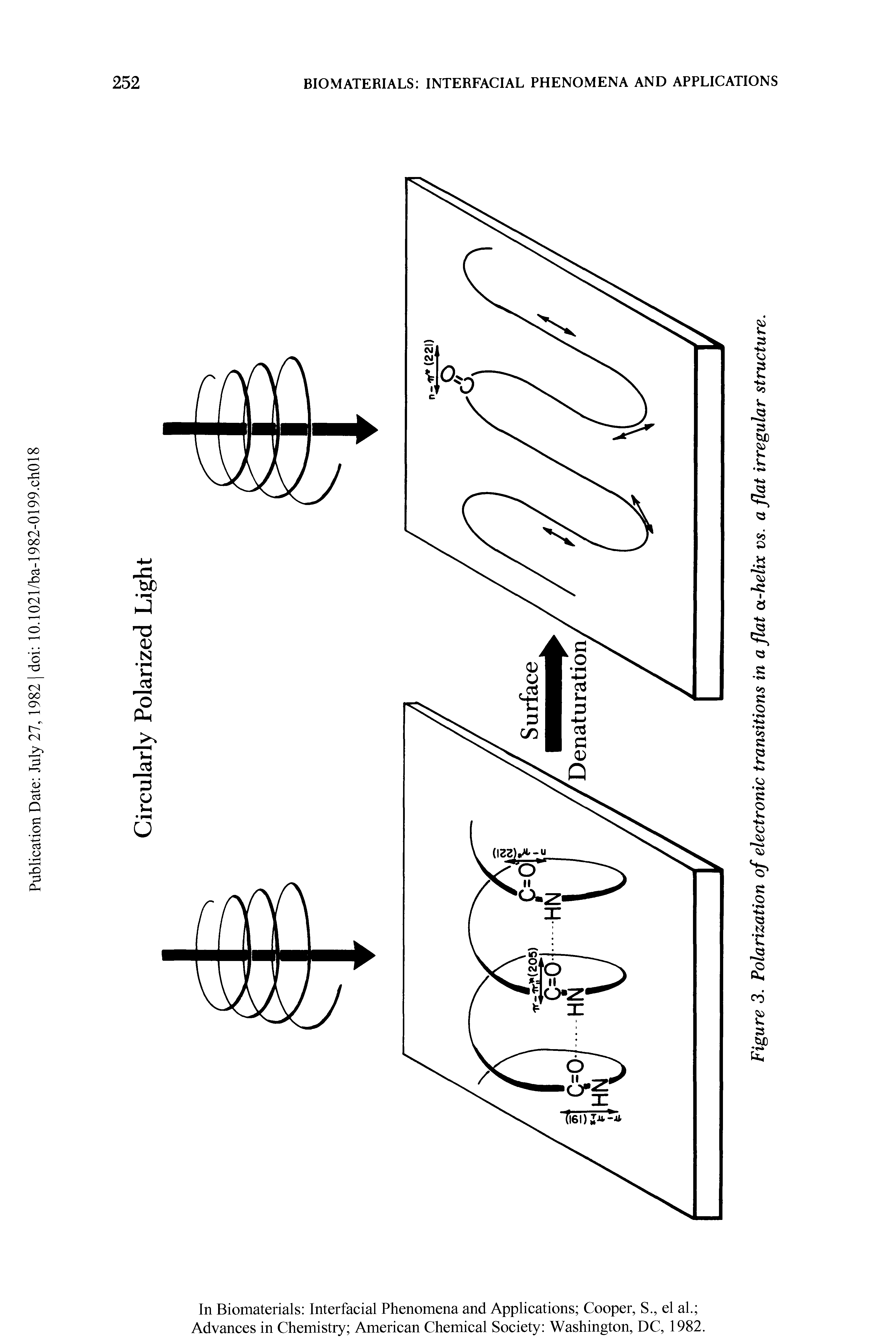 Figure 3. Polarization of electronic transitions in a flat a-helix vs. a flat irregular structure.