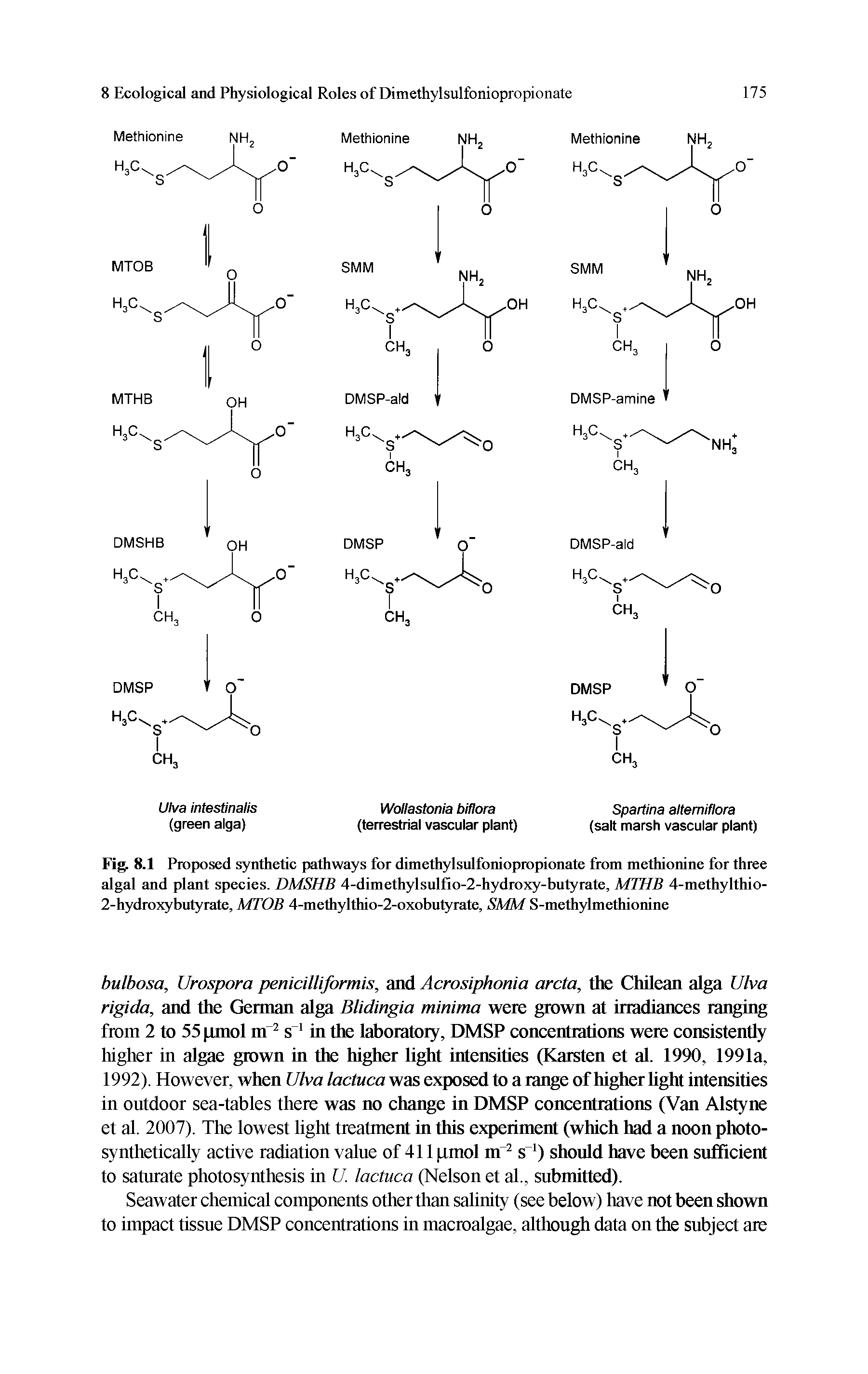 Fig. 8.1 Proposed synthetic pathways for dimethylsulfoniopropionate from methionine for three algal and plant species. DMSHB 4-dimethylsulfio-2-hydroxy-butyrate, MTHB 4-methylthio-2-hydroxybutyrate, MTOB 4-methylthio-2-oxobutyrate, SMM S-methylmethionine...