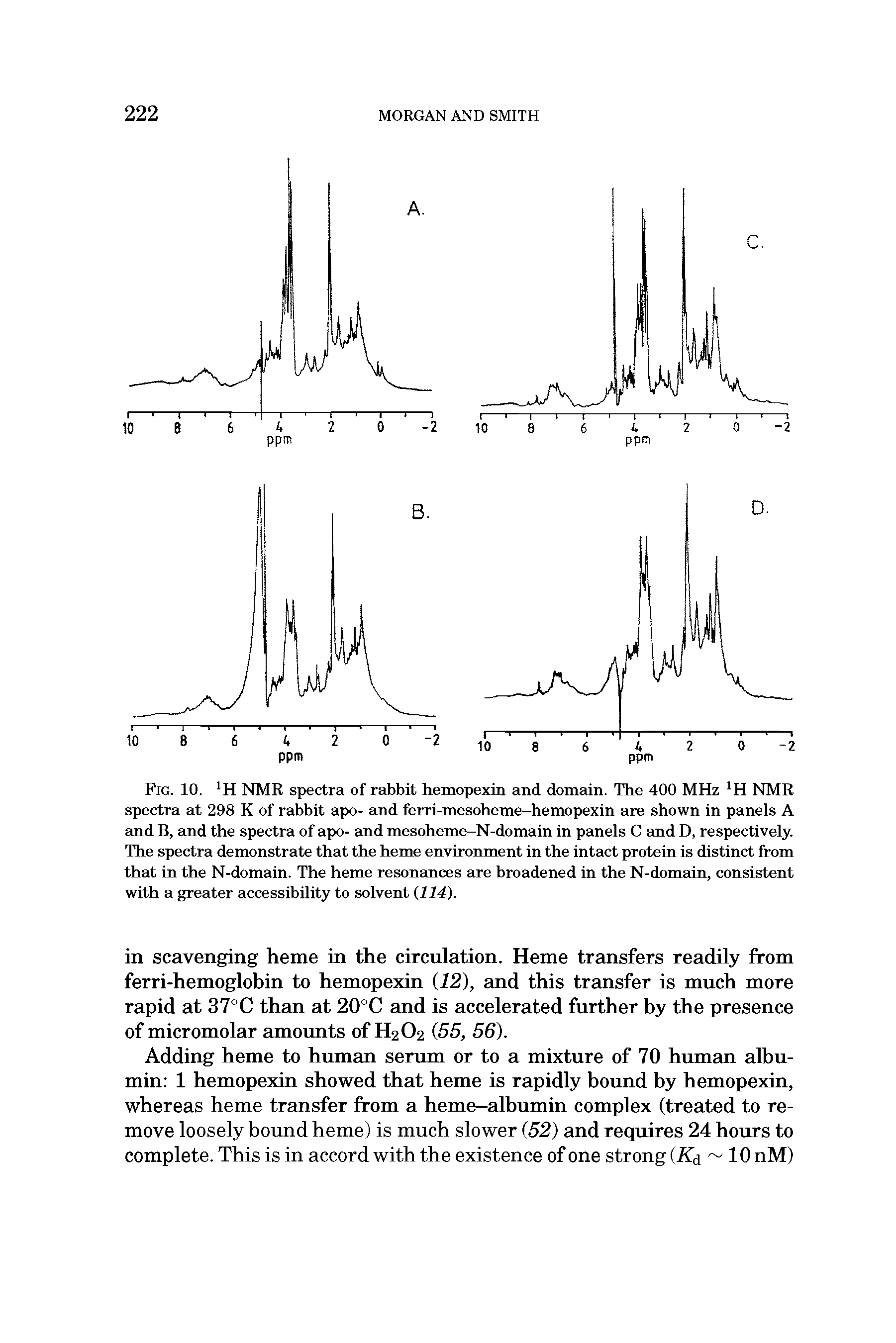 Fig. 10. H NMR spectra of rabbit hemopexin and domain. The 400 MHz H NMR spectra at 298 K of rabbit apo- and ferri-mesoheme-hemopexin are shown in panels A and B, and the spectra of apo- and mesoheme-N-domain in panels C and D, respectively. The spectra demonstrate that the heme environment in the intact protein is distinct from that in the N-domain. The heme resonances are broadened in the N-domain, consistent with a greater accessibility to solvent 114).