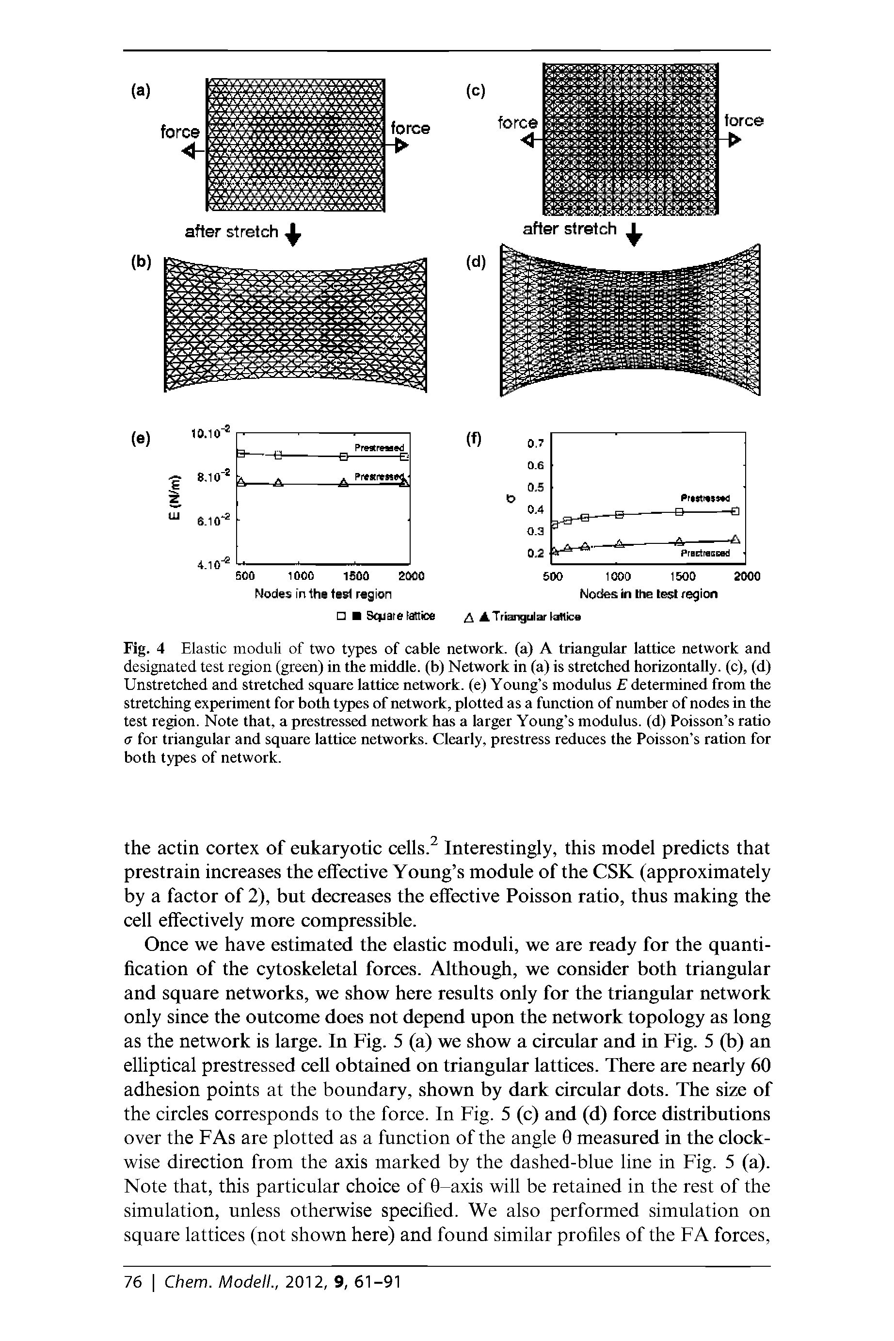 Fig. 4 Elastic moduli of two types of cable network, (a) A triangular lattice network and designated test region (green) in the middle, (b) Network in (a) is stretched horizontally, (c), (d) Unstretched and stretched square lattice network, (e) Young s modulus E determined from the stretching experiment for both types of network, plotted as a function of number of nodes in the test region. Note that, a prestressed network has a larger Young s modulus, (d) Poisson s ratio a for triangular and square lattice networks. Clearly, prestress reduces the Poisson s ration for both types of network.