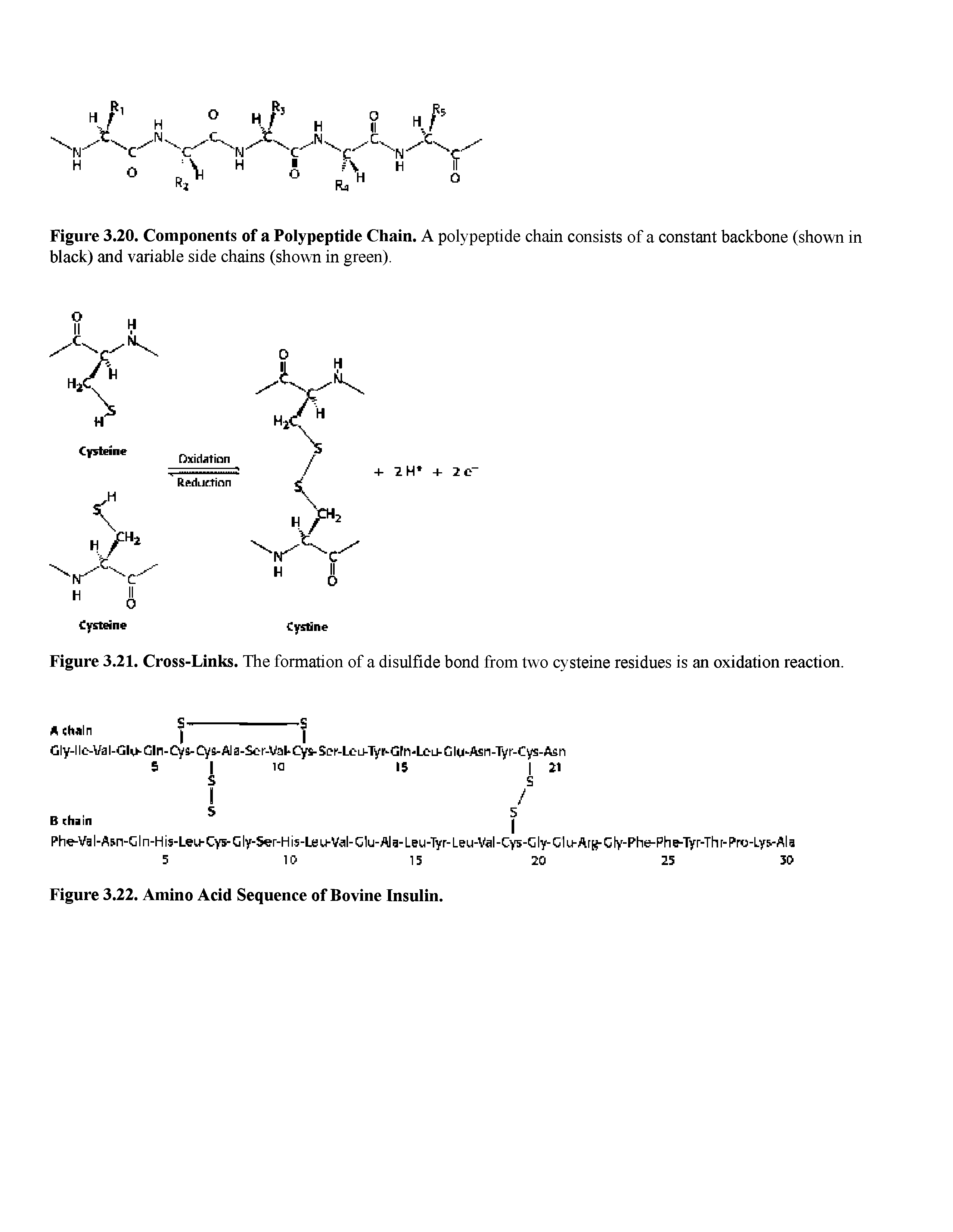 Figure 3.22. Amino Acid Sequence of Bovine Insulin.