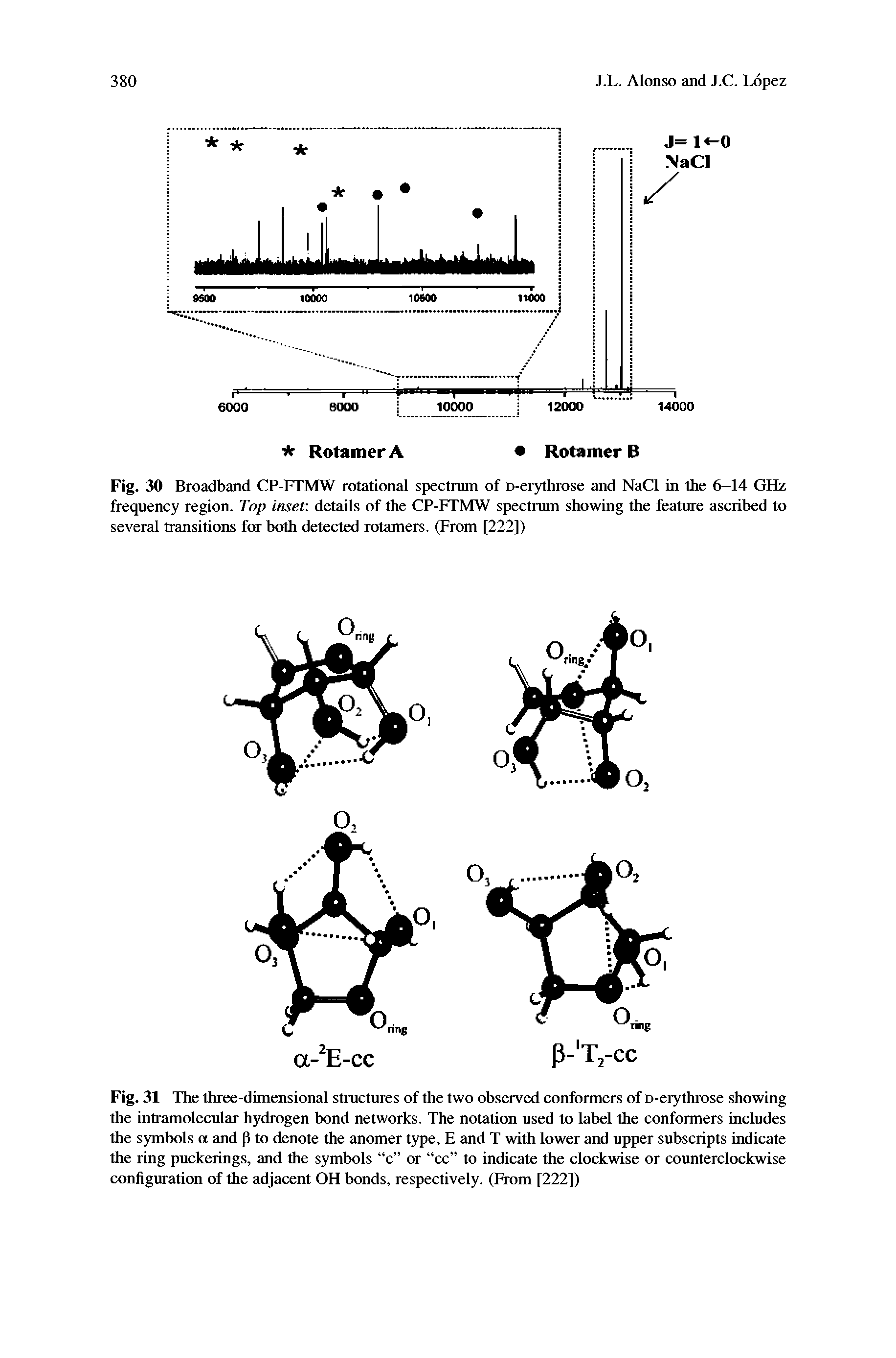 Fig. 31 The three-dimensional structures of the two observed conformers of D-erythrose showing the intramolecular hydrogen bond networks. The notation used to label the conformers includes the symbols o and p to denote the anomer type, E and T with lower and upper subscripts indicate the ring puckerings, and the symbols c or cc to indicate the clockwise or counterclockwise coniiguratitm of the adjacent OH bonds, respectively. (From [222])...