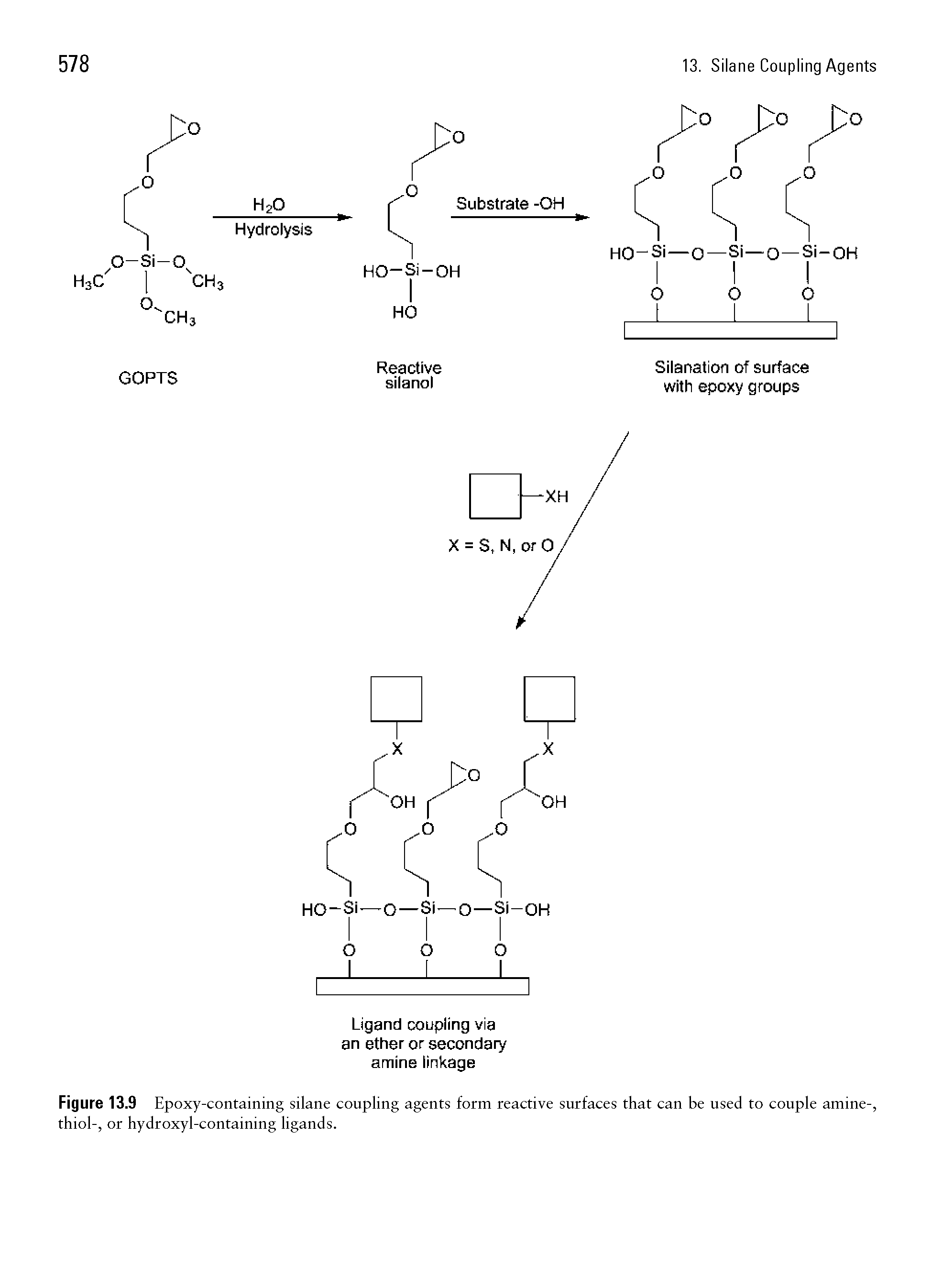 Figure 13.9 Epoxy-containing silane coupling agents form reactive surfaces that can be used to couple amine-, thiol-, or hydroxyl-containing ligands.