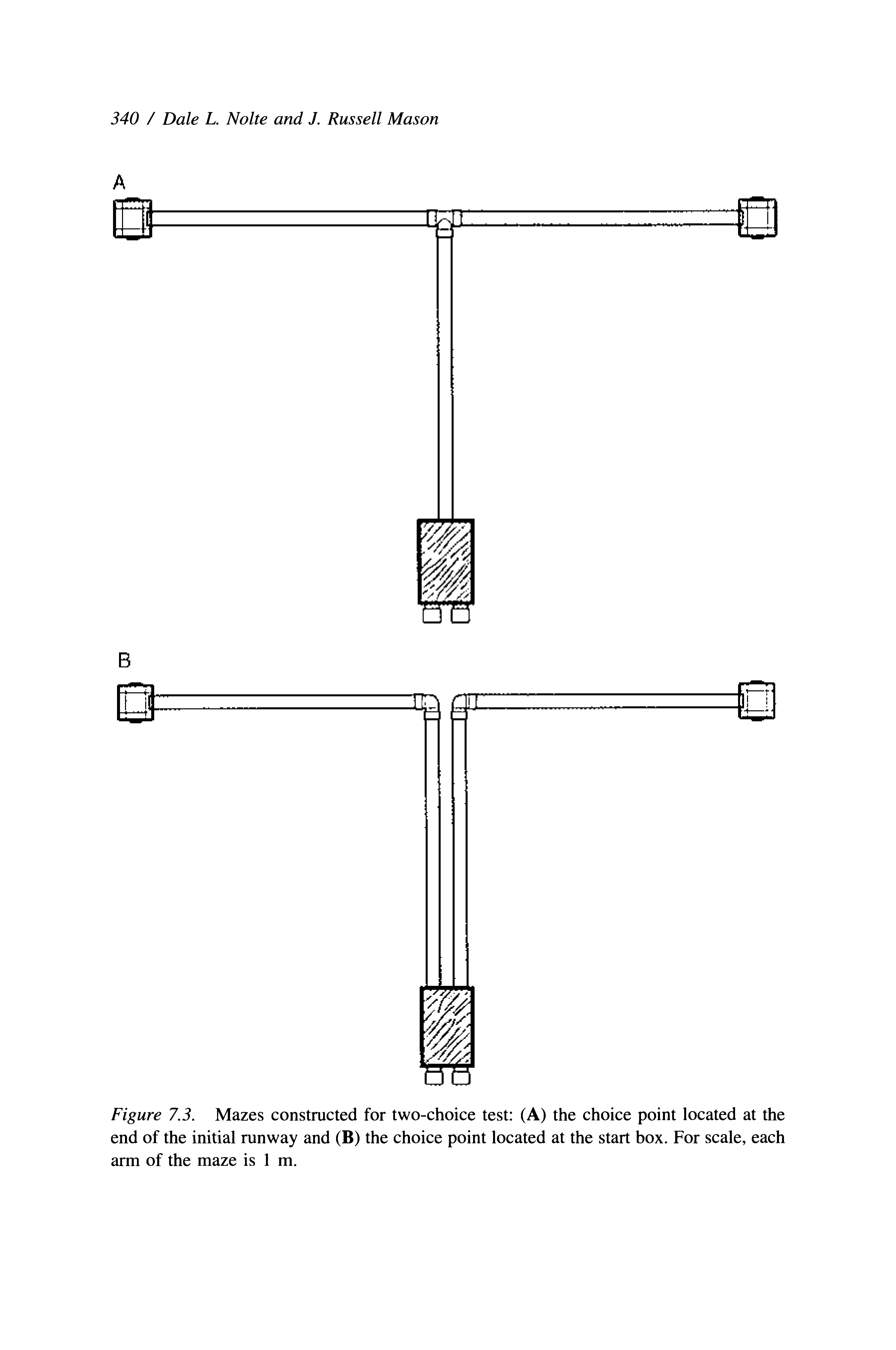 Figure 7.3. Mazes constructed for two-choice test (A) the choice point located at the end of the initial runway and (B) the choice point located at the start box. For scale, each arm of the maze is 1 m.