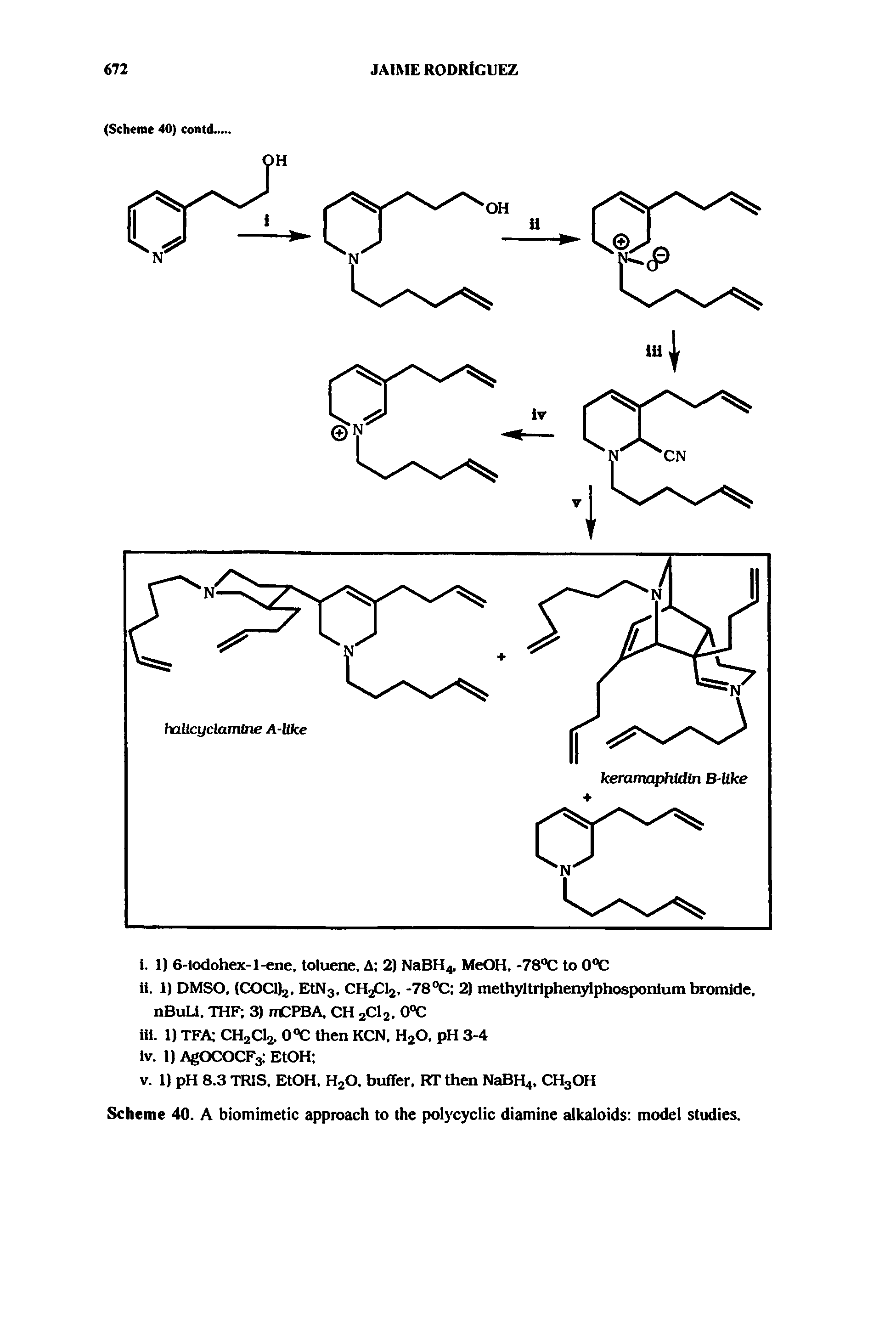 Scheme 40. A biomimetic approach to the polycyclic diamine alkaloids model studies.