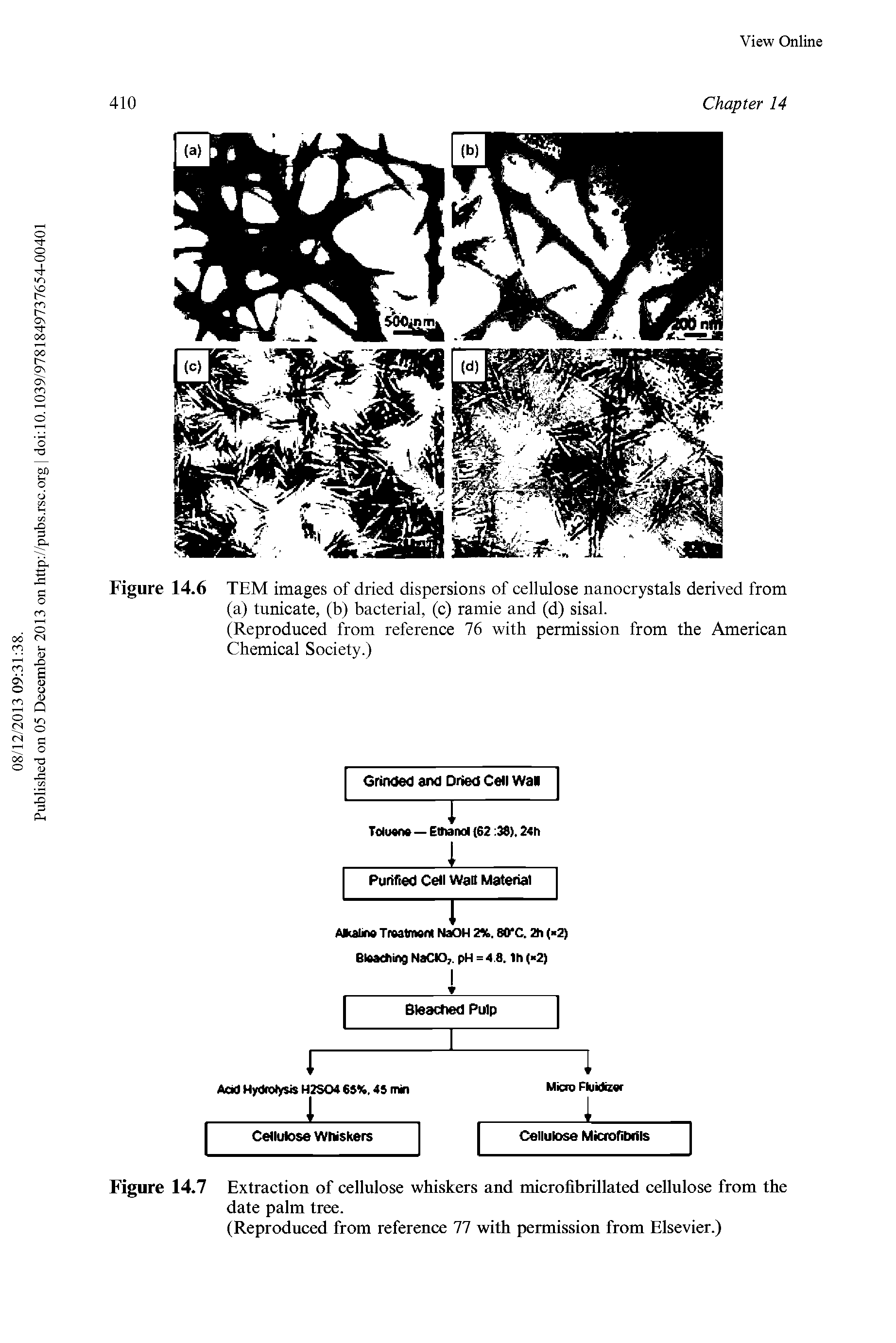 Figure 14.7 Extraction of cellulose whiskers and microfibrillated cellulose from the date palm tree.