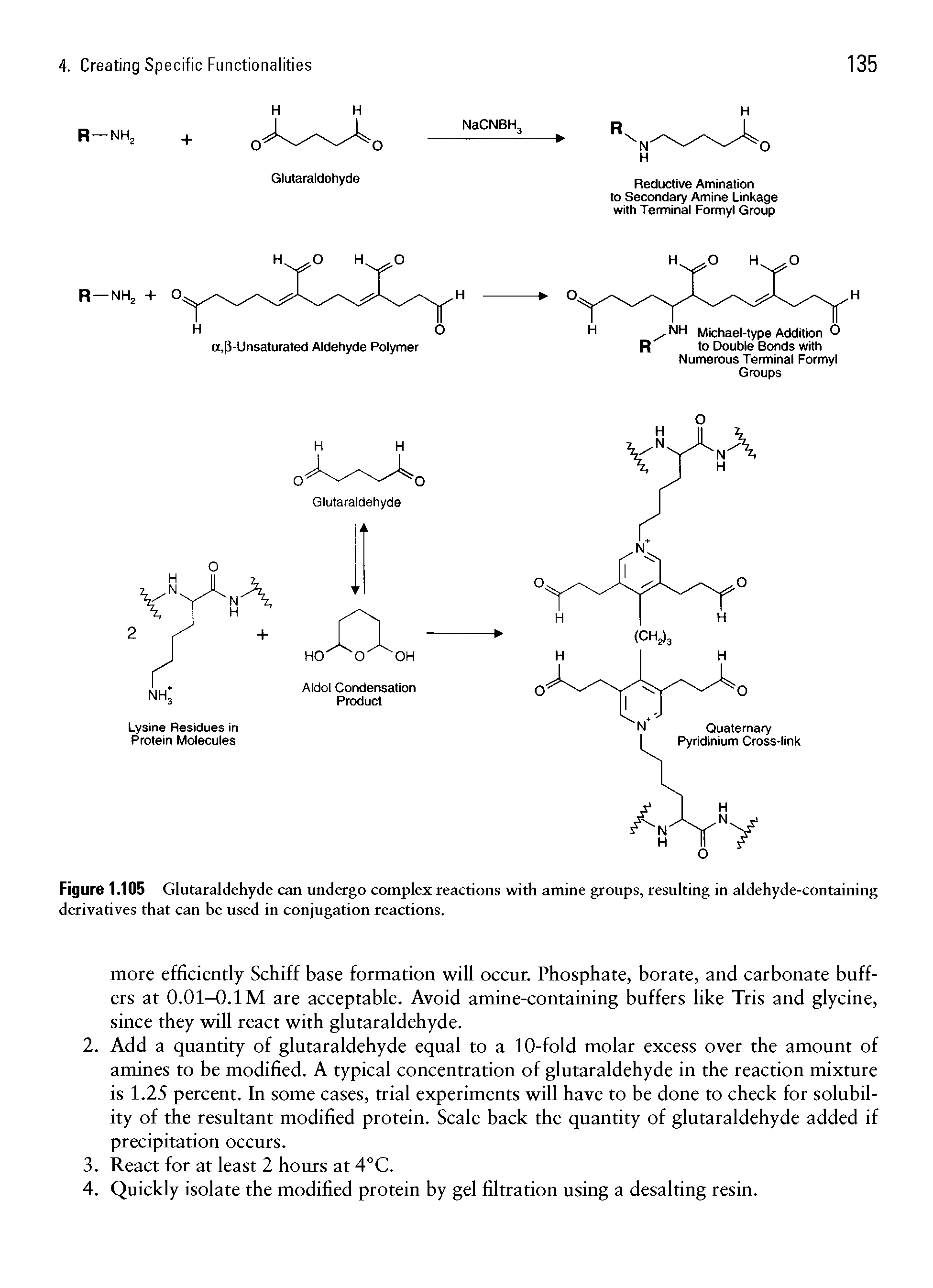 Figure 1.105 Glutaraldehyde can undergo complex reactions with amine groups, resulting in aldehyde-containing derivatives that can be used in conjugation reactions.