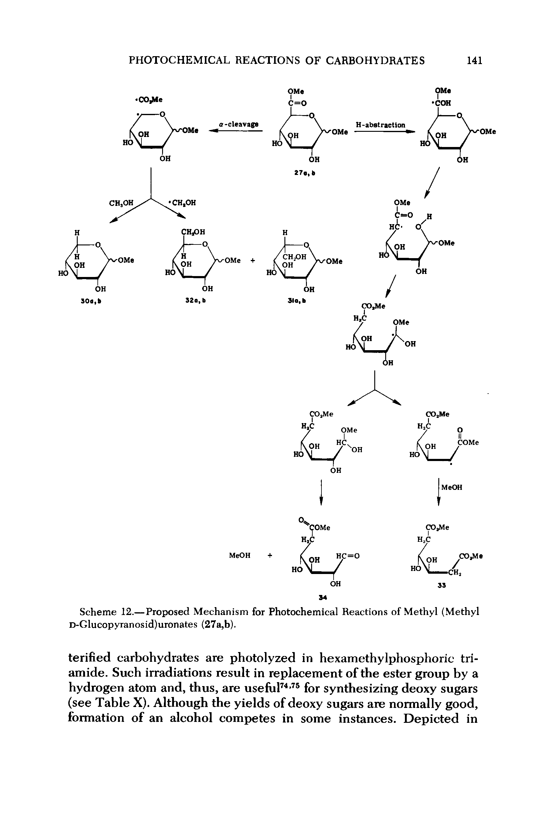 Scheme 12.—Proposed Mechanism for Photochemical Reactions of Methyl (Methyl D-Glucopyranosid)uronates (27a,b).