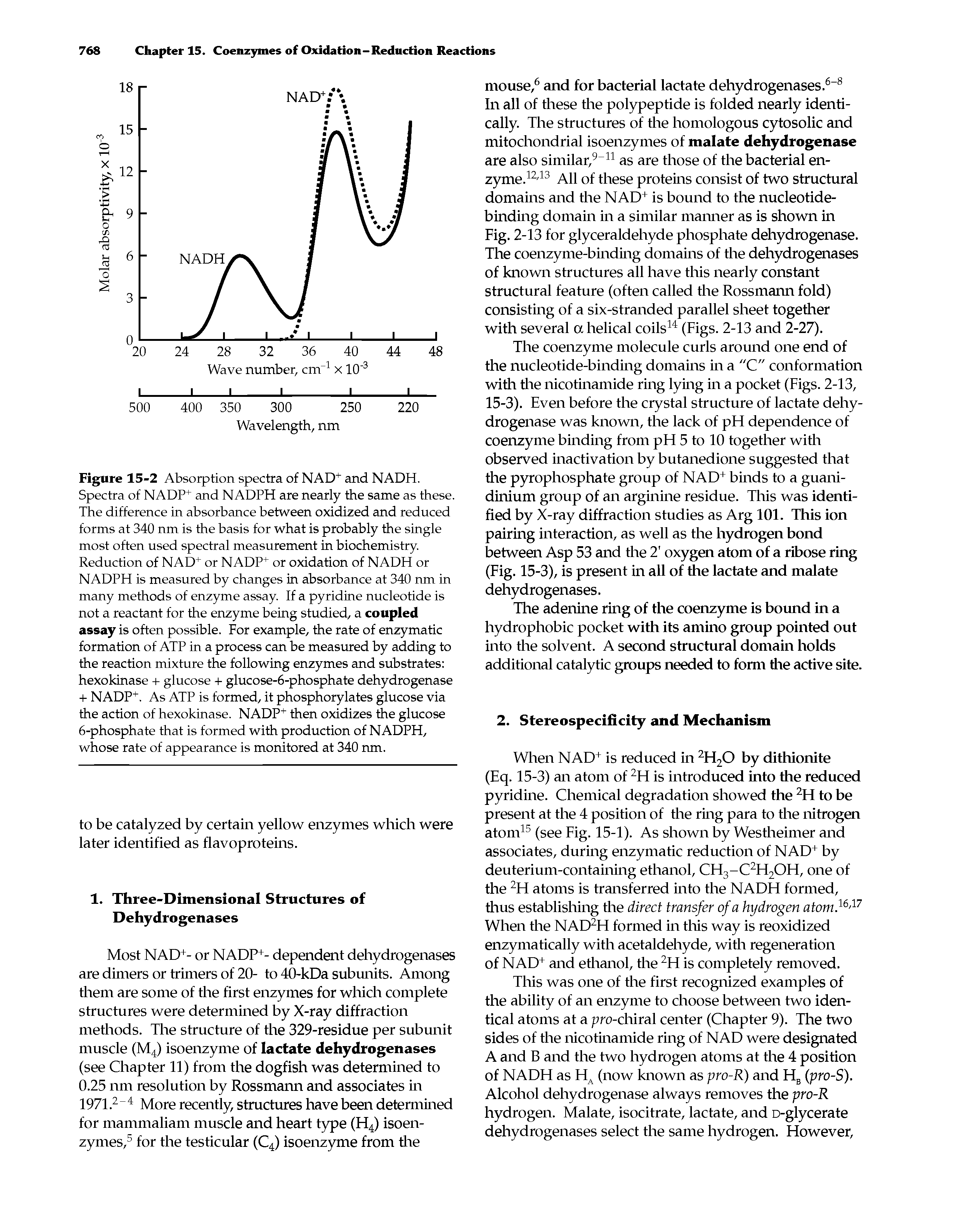 Figure 15-2 Absorption spectra of NAD+ and NADH. Spectra of NADP+ and NADPH are nearly the same as these. The difference in absorbance between oxidized and reduced forms at 340 nm is the basis for what is probably the single most often used spectral measurement in biochemistry. Reduction of NAD+ or NADP+ or oxidation of NADH or NADPH is measured by changes in absorbance at 340 nm in many methods of enzyme assay. If a pyridine nucleotide is not a reactant for the enzyme being studied, a coupled assay is often possible. For example, the rate of enzymatic formation of ATP in a process can be measured by adding to the reaction mixture the following enzymes and substrates hexokinase + glucose + glucose-6-phosphate dehydrogenase + NADP+. As ATP is formed, it phosphorylates glucose via the action of hexokinase. NADP+ then oxidizes the glucose 6-phosphate that is formed with production of NADPH, whose rate of appearance is monitored at 340 nm.