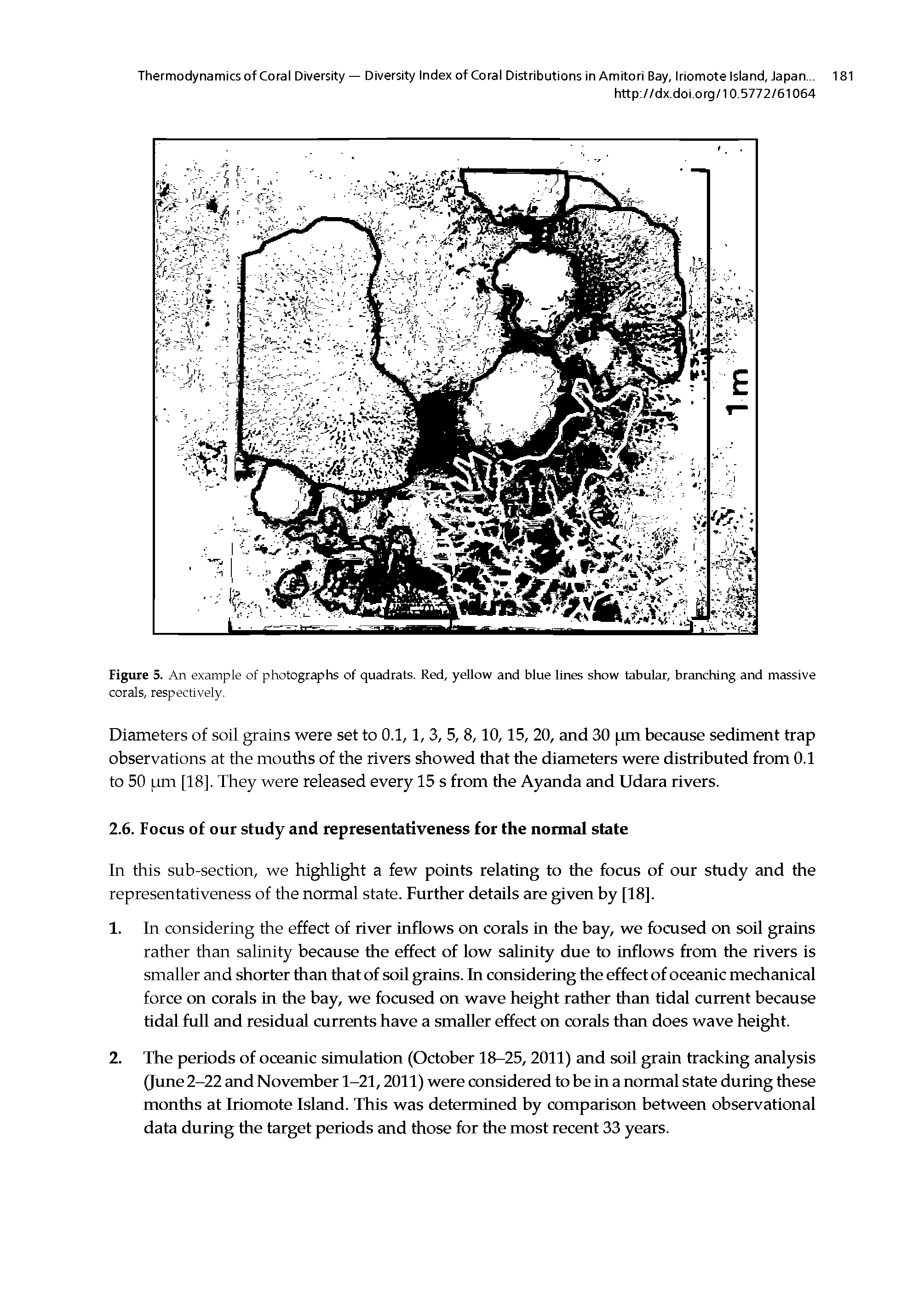 Figure 5. An example of photographs of quadrats. Red, yellow and blue lines show tabular, branching and massive corals, respectively.