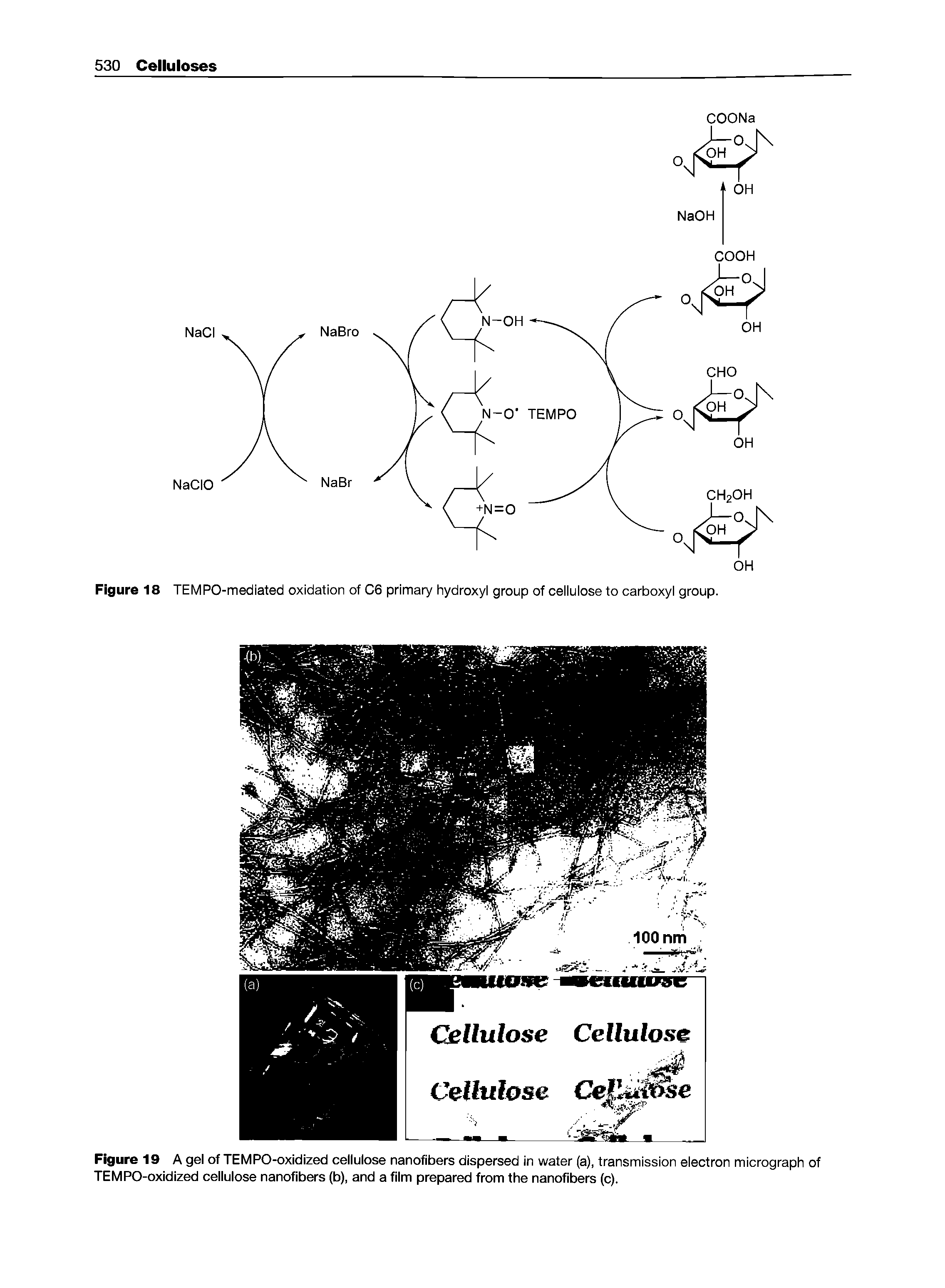 Figure 19 A gel of TEMPO-oxidized cellulose nanofibers dispersed in water (a), transmission eieotron micrograph of TEMPO-oxidized cellulose nanofibers (b), and a film prepared from the nanofibers (c).