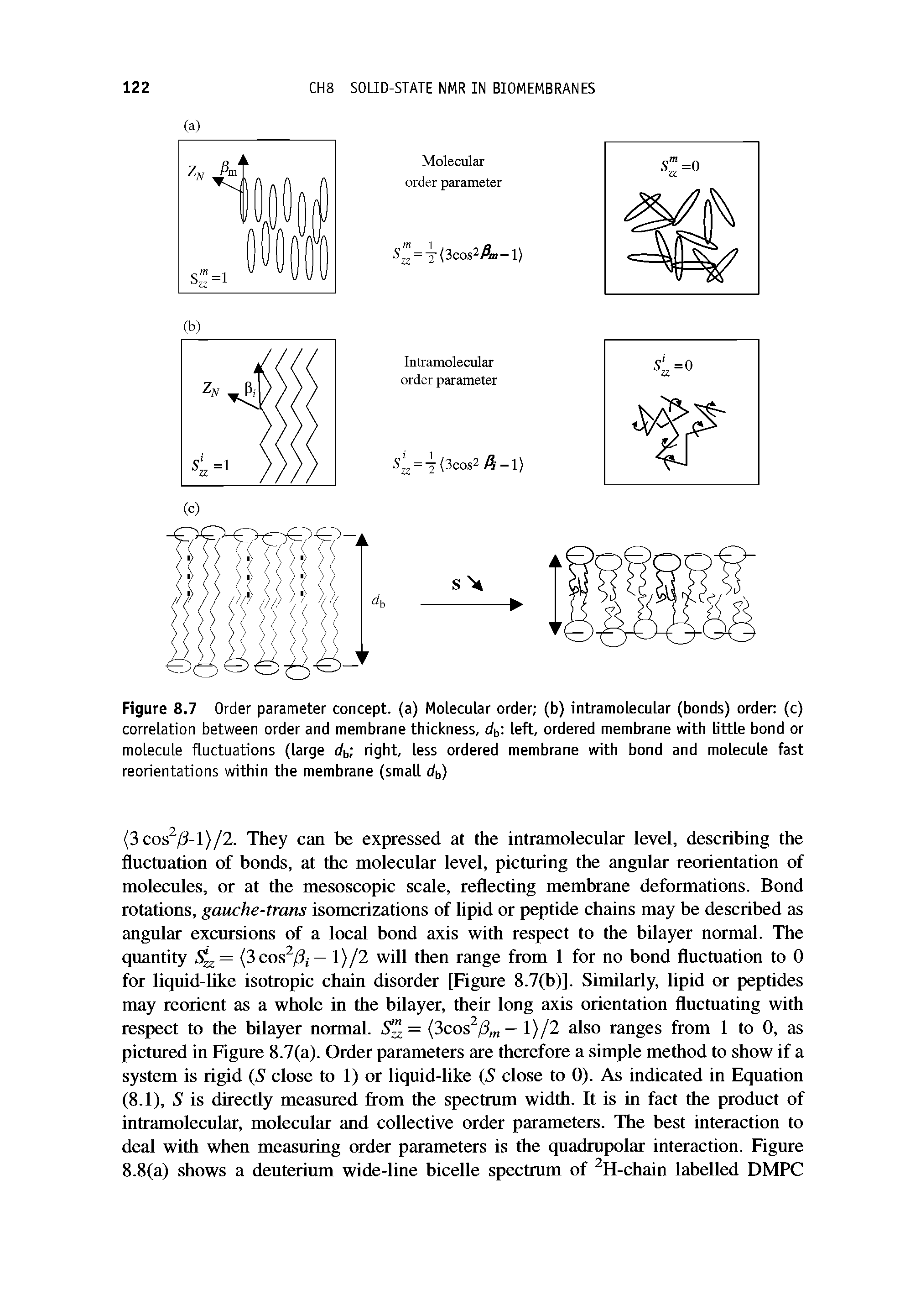 Figure 8.7 Order parameter concept, (a) Molecular order (b) intramolecular (bonds) order (c) correlation between order and membrane thickness, dt, left, ordered membrane with little bond or molecule fluctuations (large dt, right, less ordered membrane with bond and molecule fast reorientations within the membrane (small db)...