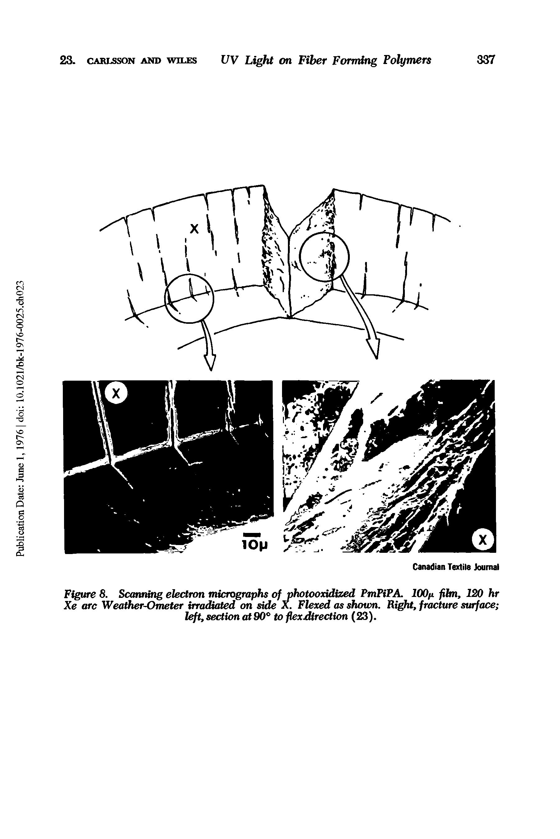 Figure 8. Scanning electron micrographs of photoondized PmPiPA. lOOn film, 120 hr Xe arc Weather-Ometer irradiated on side X. Flexed as shown. Ri t, fracture surface left, section U 90° to fkxjdirectUm (23).