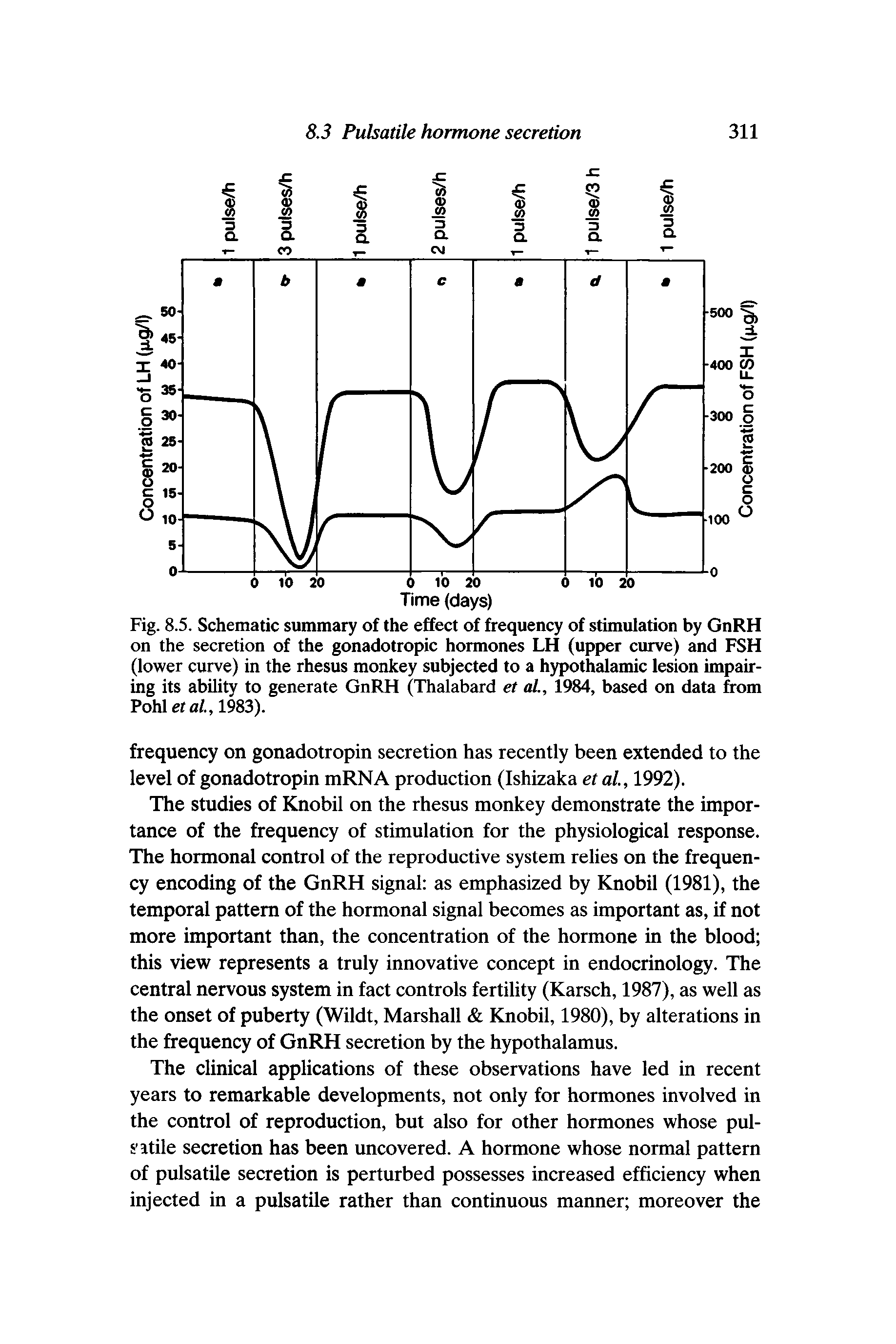 Fig. 8.5. Schematic summary of the effect of frequency of stimulation by GnRH on the secretion of the gonadotropic hormones LH (upper curve) and FSH (lower curve) in the rhesus monkey subjected to a hypothalamic lesion impairing its ability to generate GnRH (Thalabard et al, 1984, based on data from Pohletfll.,1983).