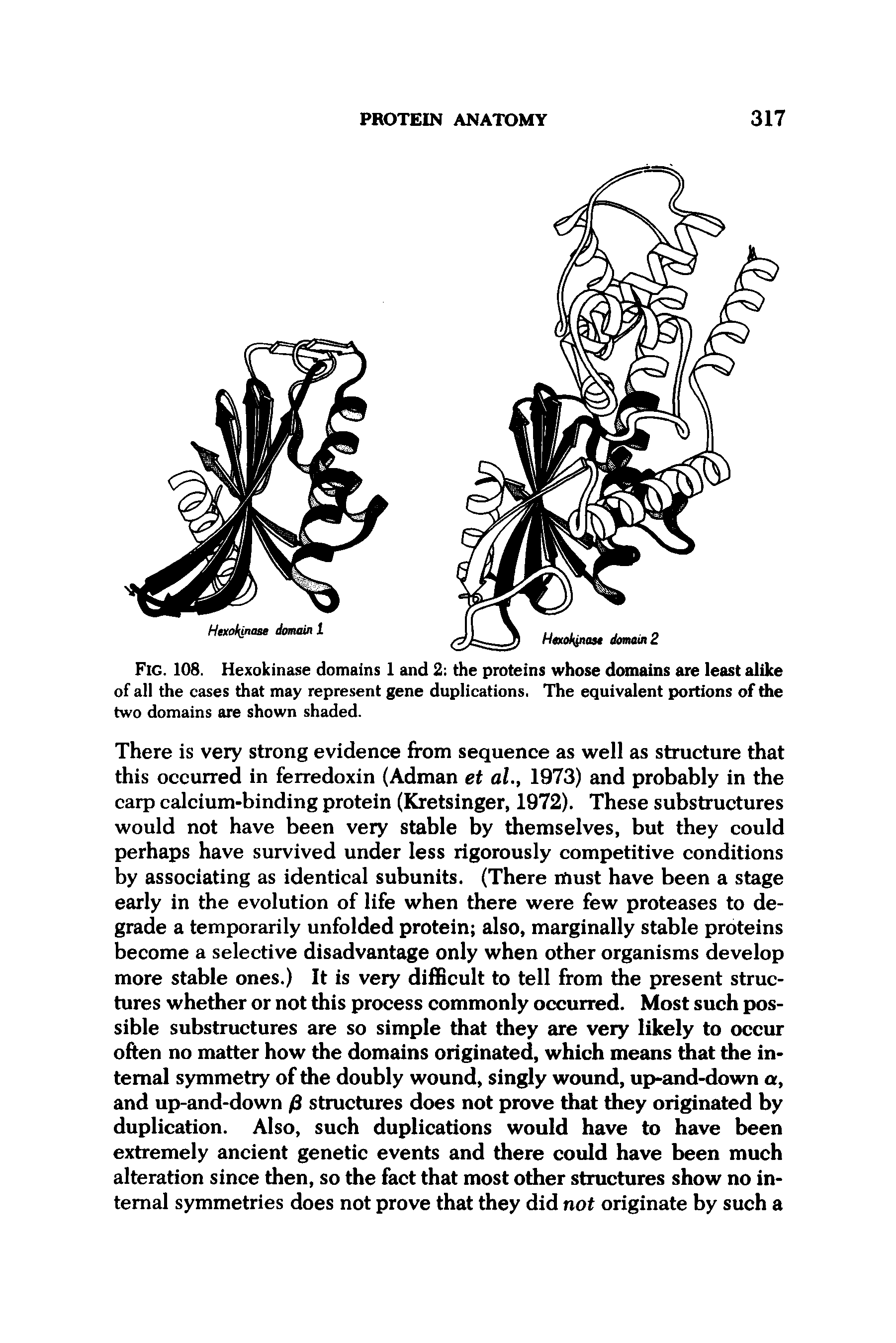 Fig. 108. Hexokinase domains 1 and 2 the proteins whose domains are least alike of all the cases that may represent gene duplications. The equivalent portions of the two domains are shown shaded.