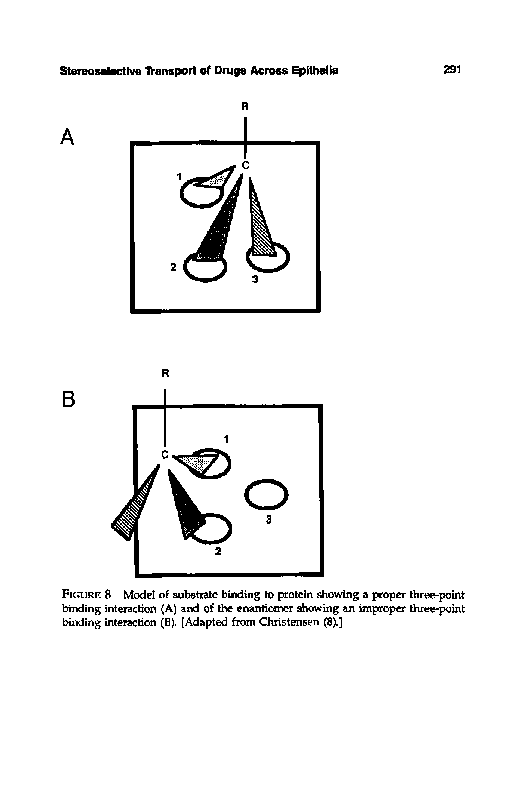 Figure 8 Model of substrate binding to protein lowing a proper three-point binding interaction (A) and of the enantiomer showing an improper three-point binding interaction (B). [Adapted from Christensen (8).]...