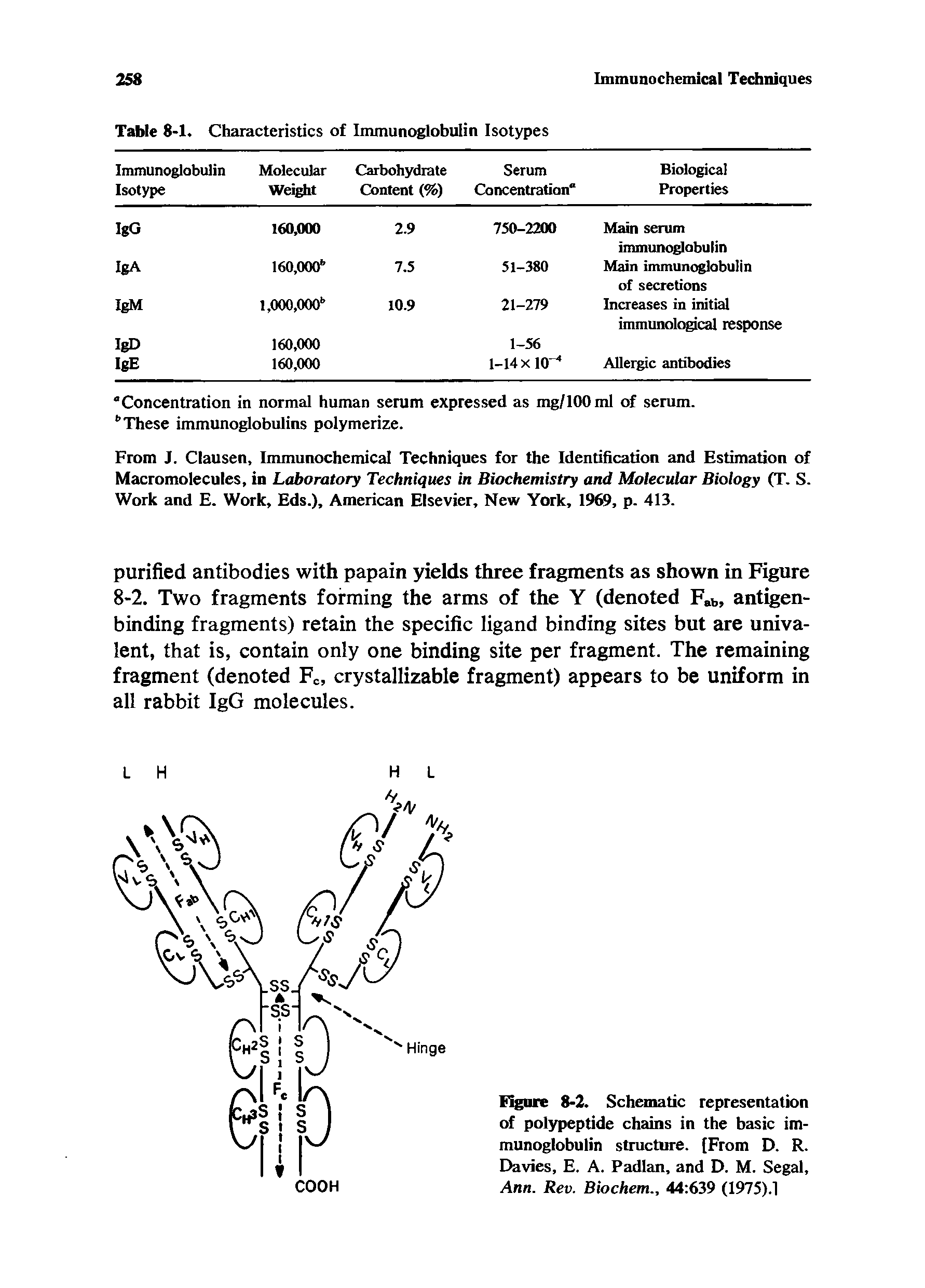 Figure 8-2. Schematic representation of polypeptide chains in the basic immunoglobulin structure. [From D. R. Davies, E. A. Padlan, and D. M. Segal, Ann. Rev. Biochem., 44 639 (1975). ...