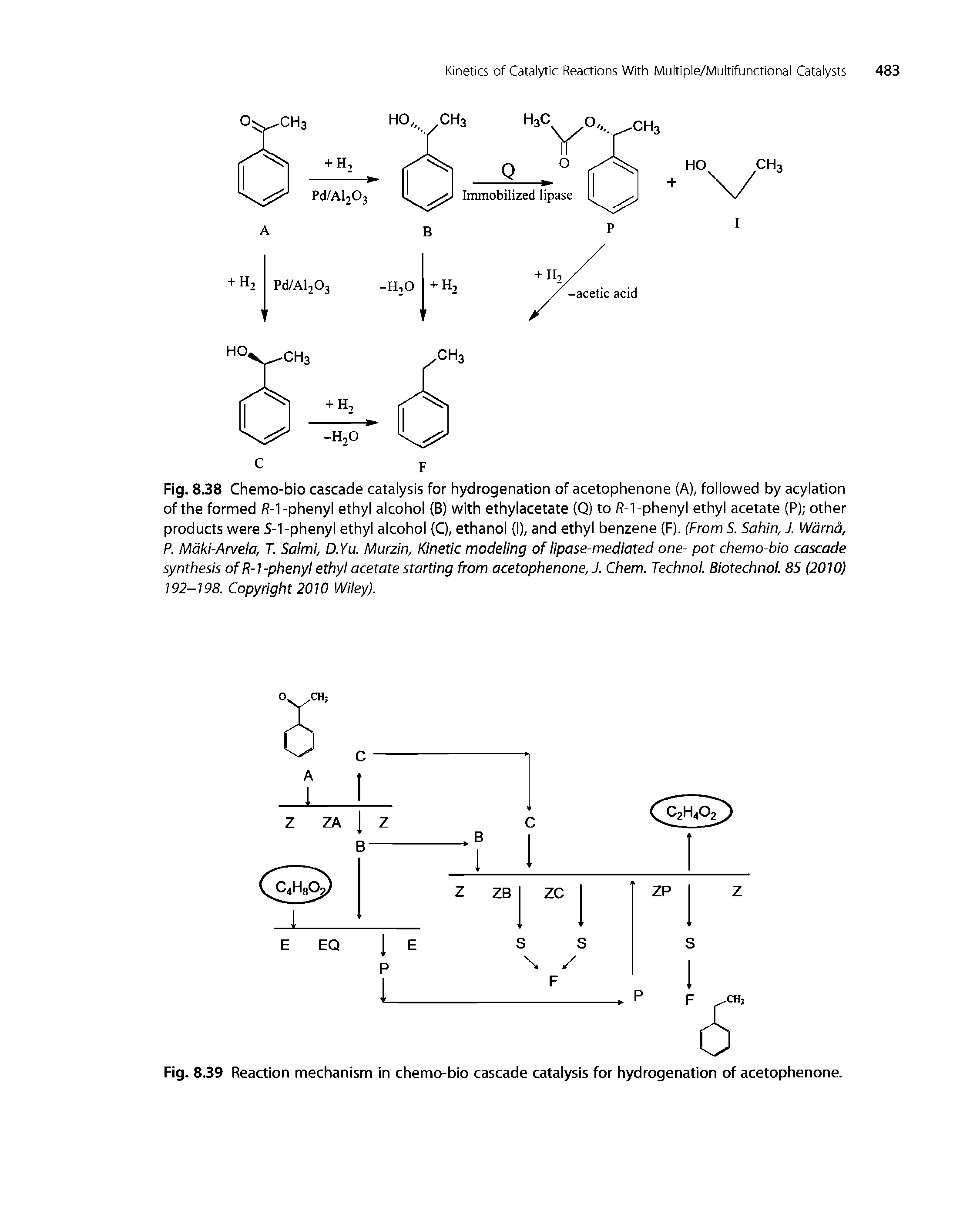 Fig. 8.38 Chemo-bio cascade catalysis for hydrogenation of acetophenone (A), followed by acylation of the formed ff-1-phenyl ethyl alcohol (B) with ethylacetate (Q) to / -1-phenyl ethyl acetate (P) other products were S-1 -phenyl ethyl alcohol (C), ethanol (I), and ethyl benzene (F). (From S. Sahin, J. Wdrna, P. Maki-Arvela, T. Salmi, D.Yu. Murzin, Kinetic modeling of lipase-mediated one- pot chemo-bio cascade synthesis of R- 7 -phenyl ethyl acetate starting from acetophenone, J. Chem. Technol. Biotechnol. 85 (2010) 192-198. Copyright 2010 Wiley).