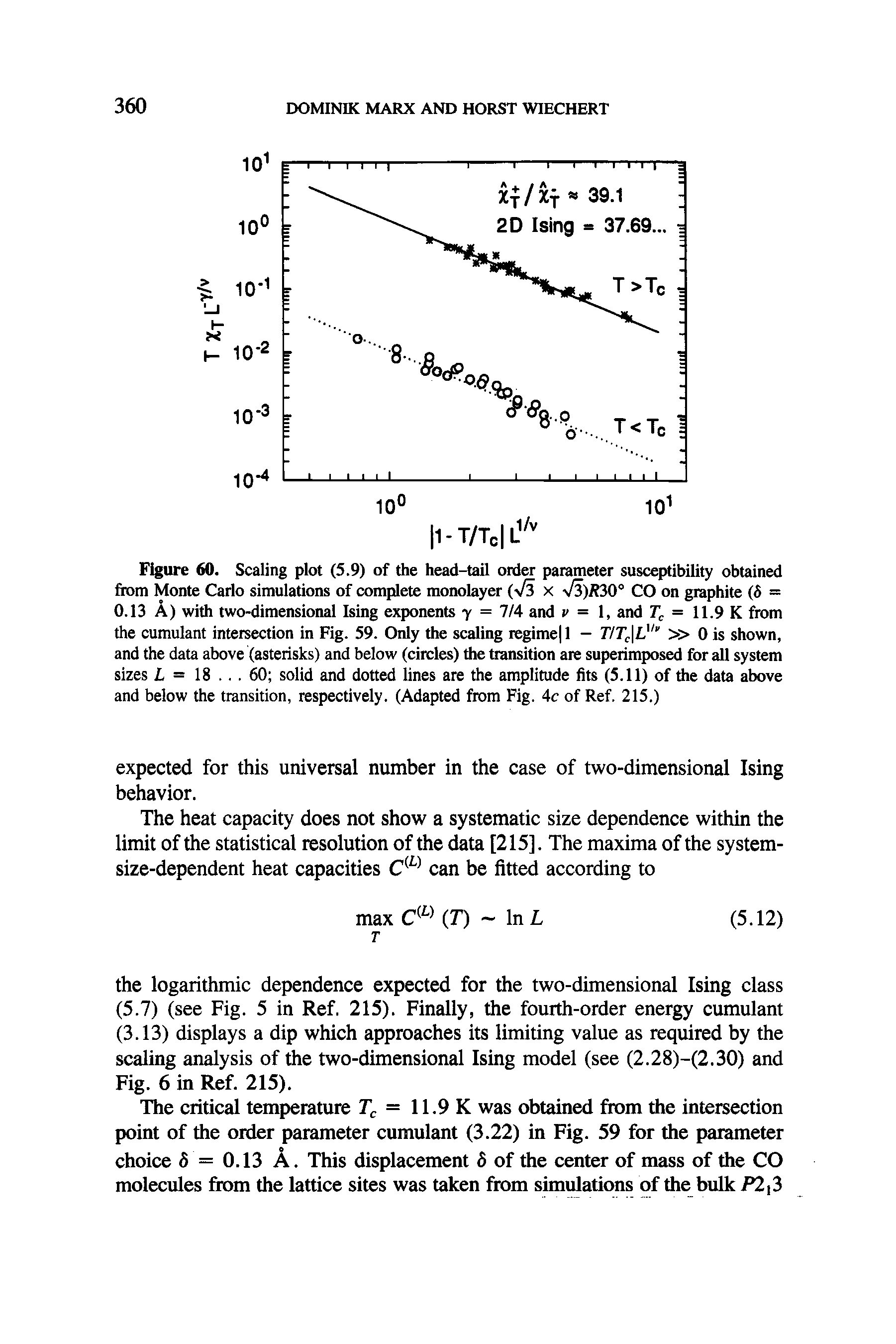 Figure 60. Scaling plot (5.9) of the head-tail order parameter susceptibility obtained from Monte Carlo simulations of complete monolayer (-J3 x yfi)R30° CO on graphite (6 = 0.13 A) with two-dimensional Ising exponents y = 7/4 and y = 1, and = 11.9 K from the cumulant intersection in Fig. 59. Only the scaling regime 1 - T/T L " 0 is shown, and the data above (asterisks) and below (circles) the transition are superimposed for all system sizes I = 18. .. 60 solid and dotted lines are the amplitude fits (5.11) of the data above and below the transition, respectively. (Adapted from Fig. 4c of Ref. 215.)...