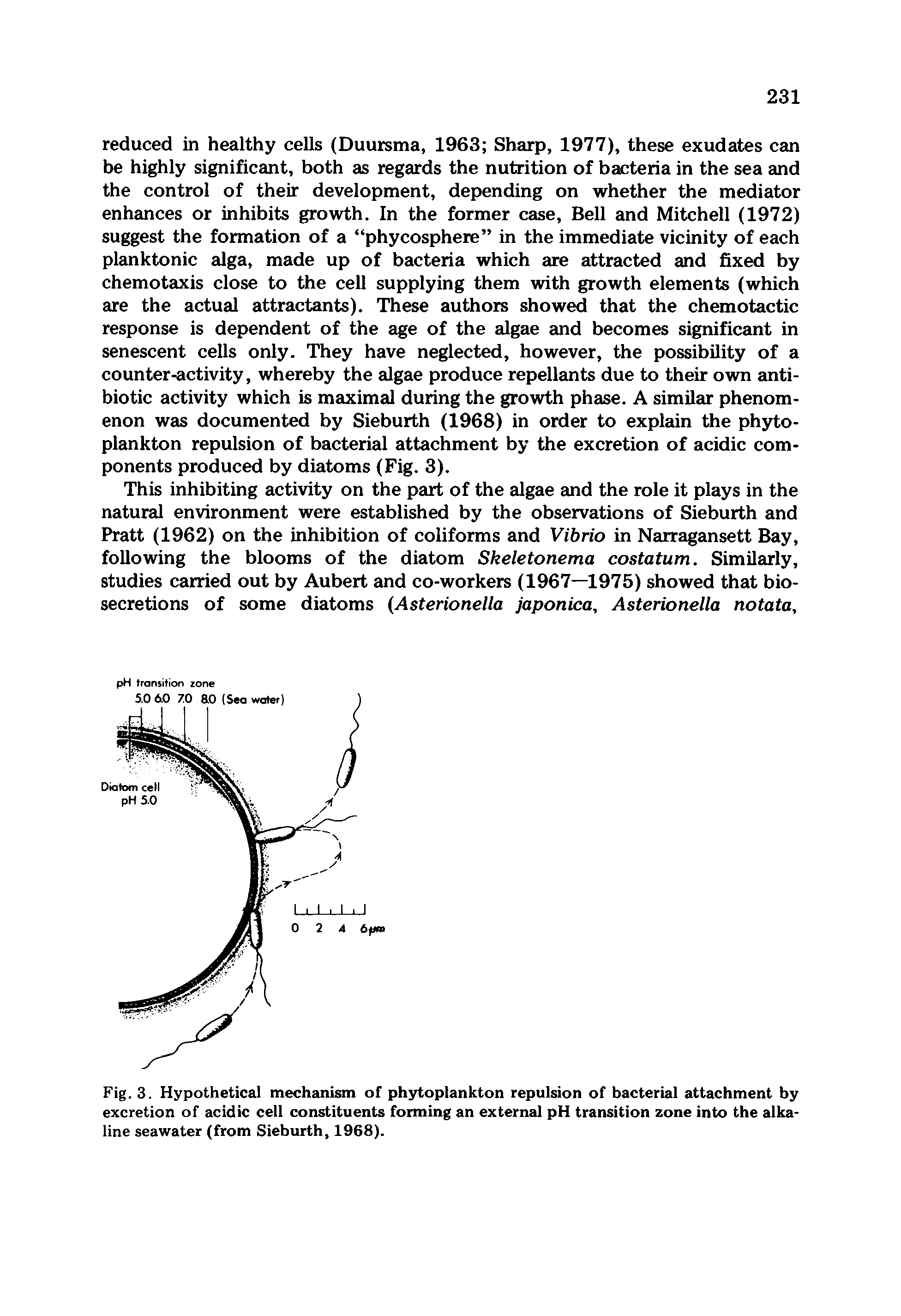 Fig. 3. Hypothetical mechanism of phytoplankton repulsion of bacterial attachment by excretion of acidic cell constituents forming an external pH transition zone into the alkaline seawater (from Sieburth, 1968).