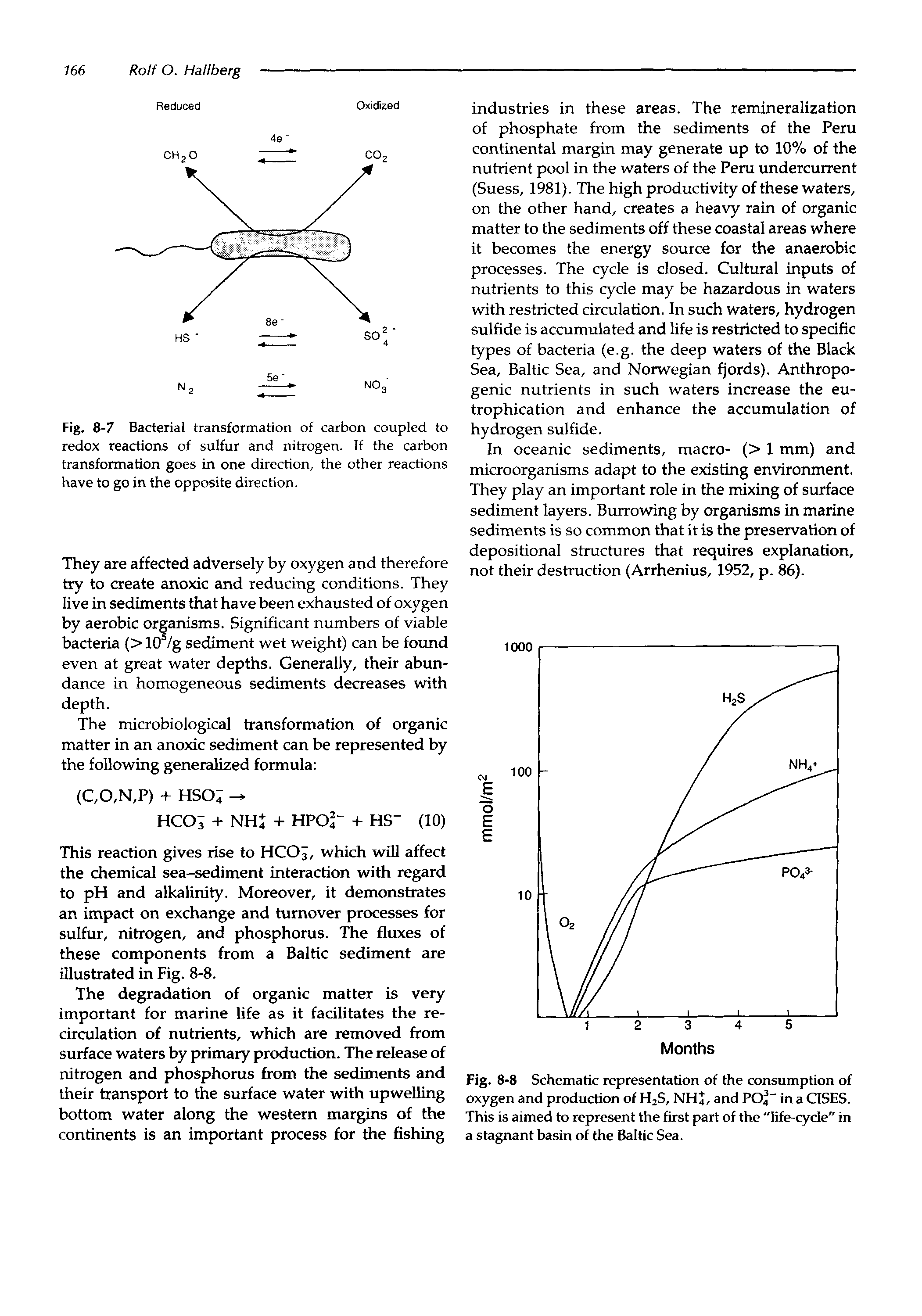 Fig. 8-7 Bacterial transformation of carbon coupled to redox reactions of sulfur and nitrogen. If the carbon transformation goes in one direction, the other reactions have to go in the opposite direction.