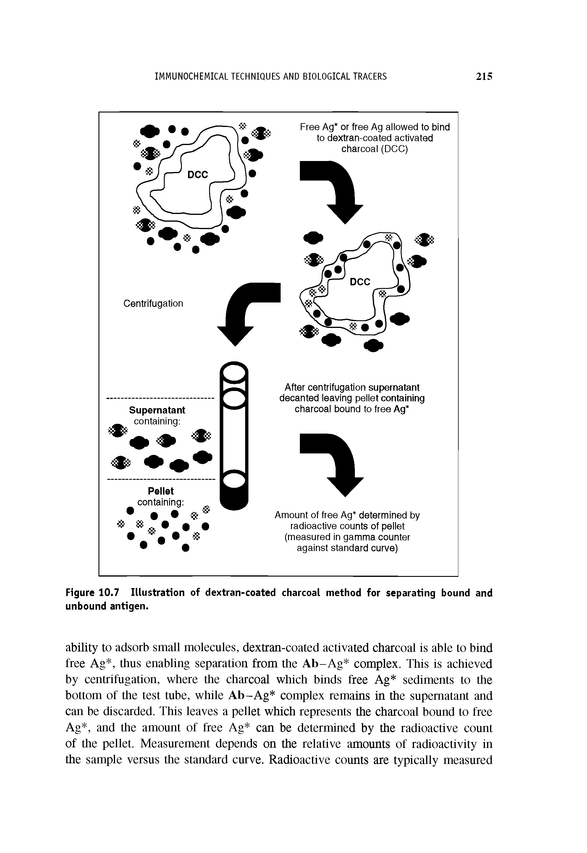 Figure 10.7 Illustration of dextran-coated charcoal method for separating bound and unbound antigen.