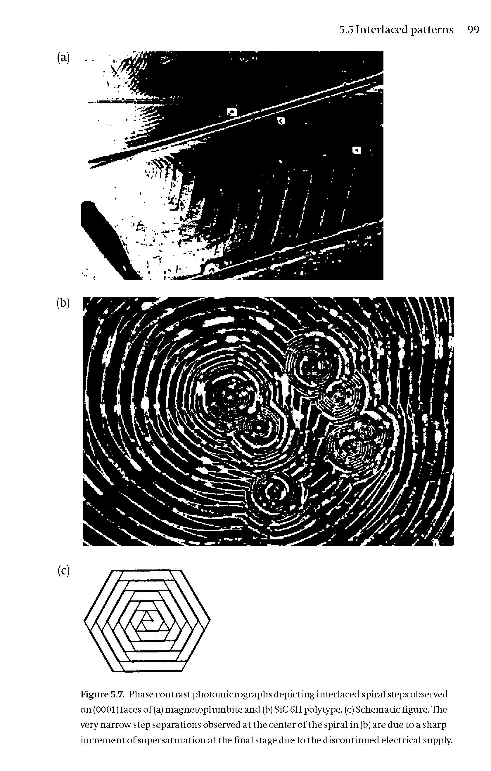 Figure 5.7. Phase contrast photomicrographs depicting interlaced spiral steps observed on (0001) faces of (a) magnetoplumbite and (b) SiC 6H polytype, (c) Schematic figure. The very narrow step separations observed at the center of the spiral in (b) are due to a sharp increment of supersaturation at the final stage due to the discontinued electrical supply.