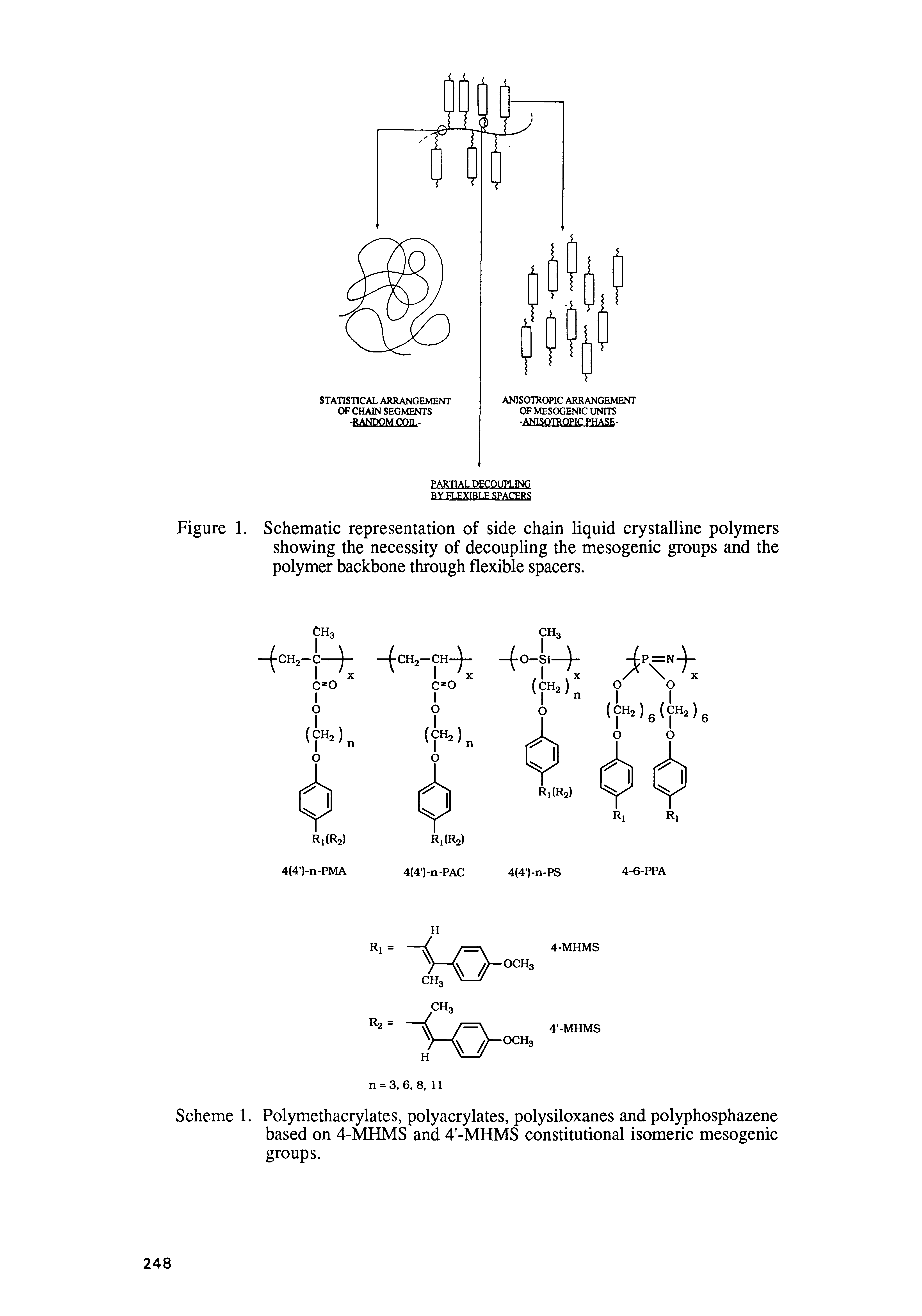 Scheme 1. Polymethacrylates, polyacrylates, polysiloxanes and polyphosphazene based on 4-MHMS and 4 -MHMS constitutional isomeric mesogenic groups.