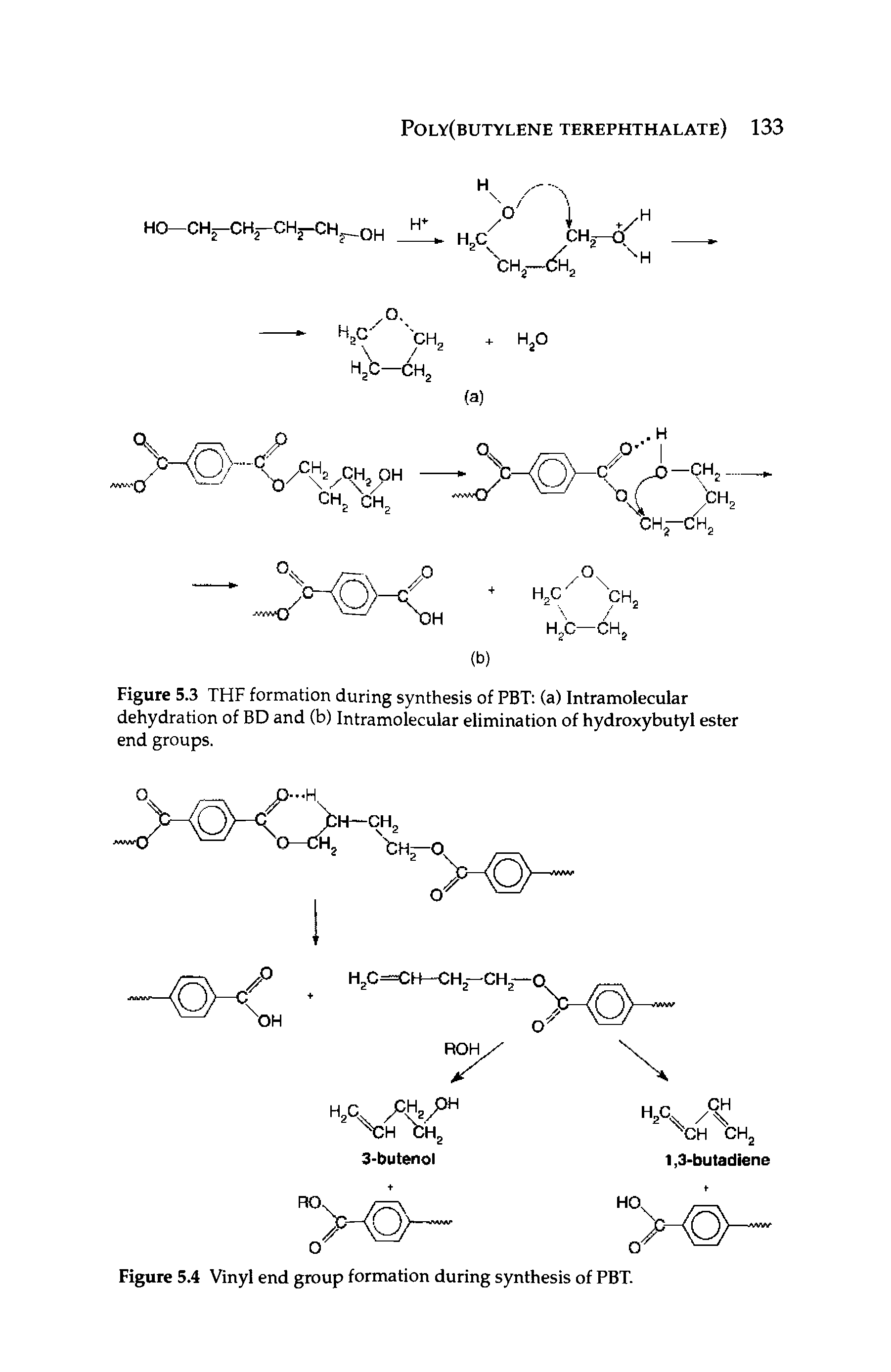 Figure 5.3 THF formation during synthesis of PBT (a) Intramolecular dehydration of BD and (b) Intramolecular elimination of hydroxybutyl ester end groups.