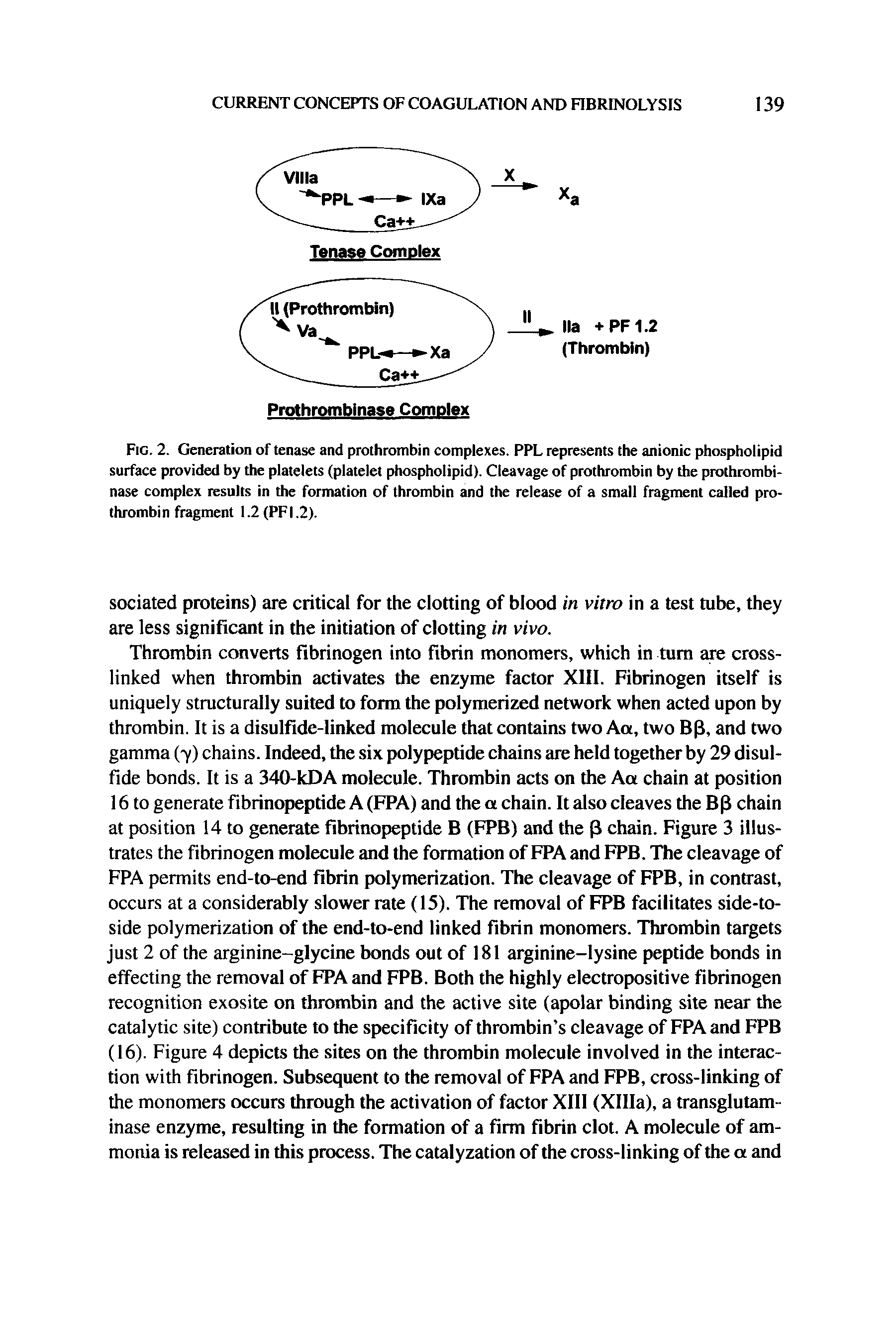 Fig. 2. Generation of tenase and prothrombin complexes. PPL represents the anionic phospholipid surface provided by the platelets (platelet phospholipid). Cleavage of prothrombin by the prothrombinase complex results in the formation of thrombin and the release of a small fragment called prothrombin fragment 1.2 (PFI.2).