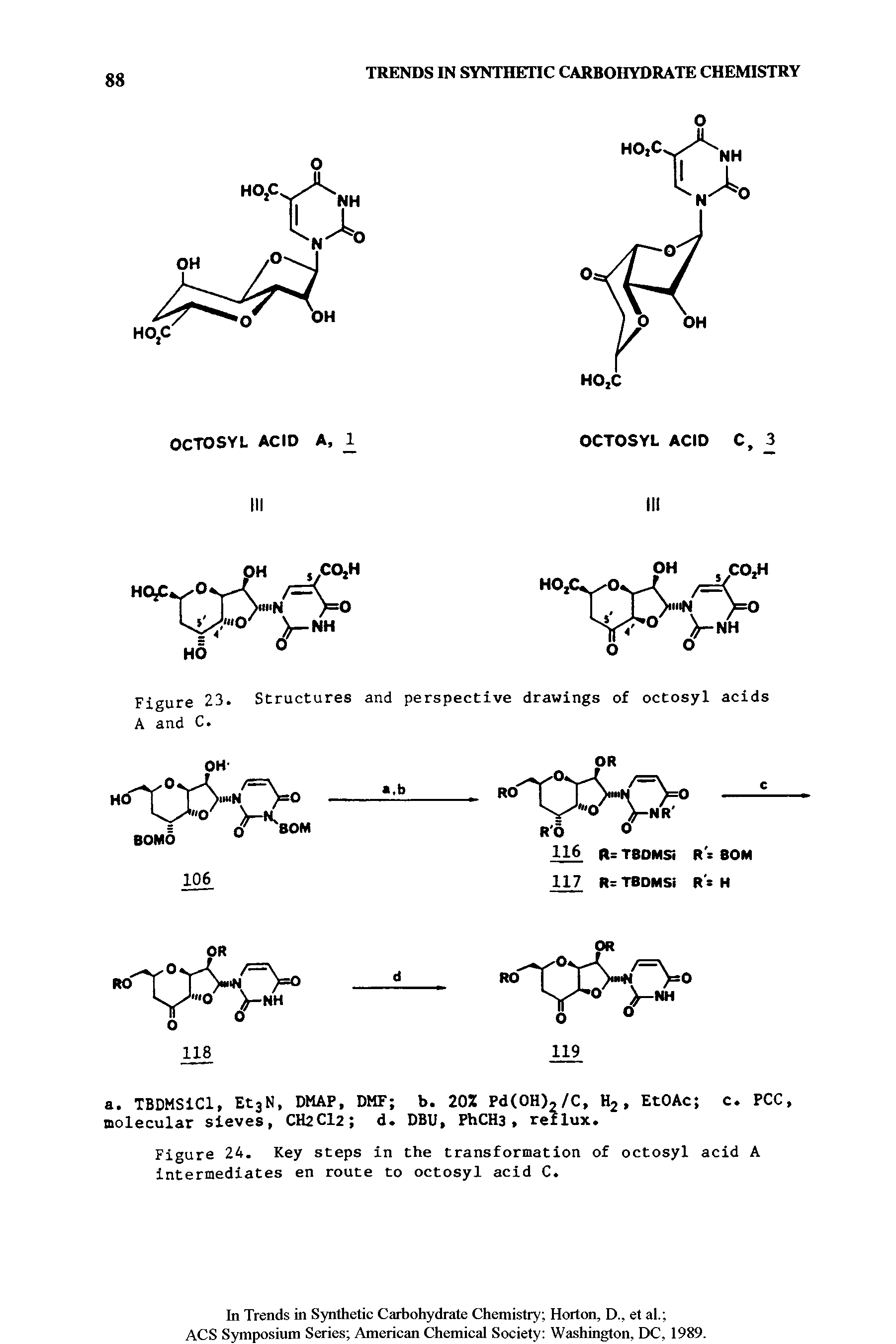 Figure 23. Structures and perspective drawings of octosyl acids A and C.