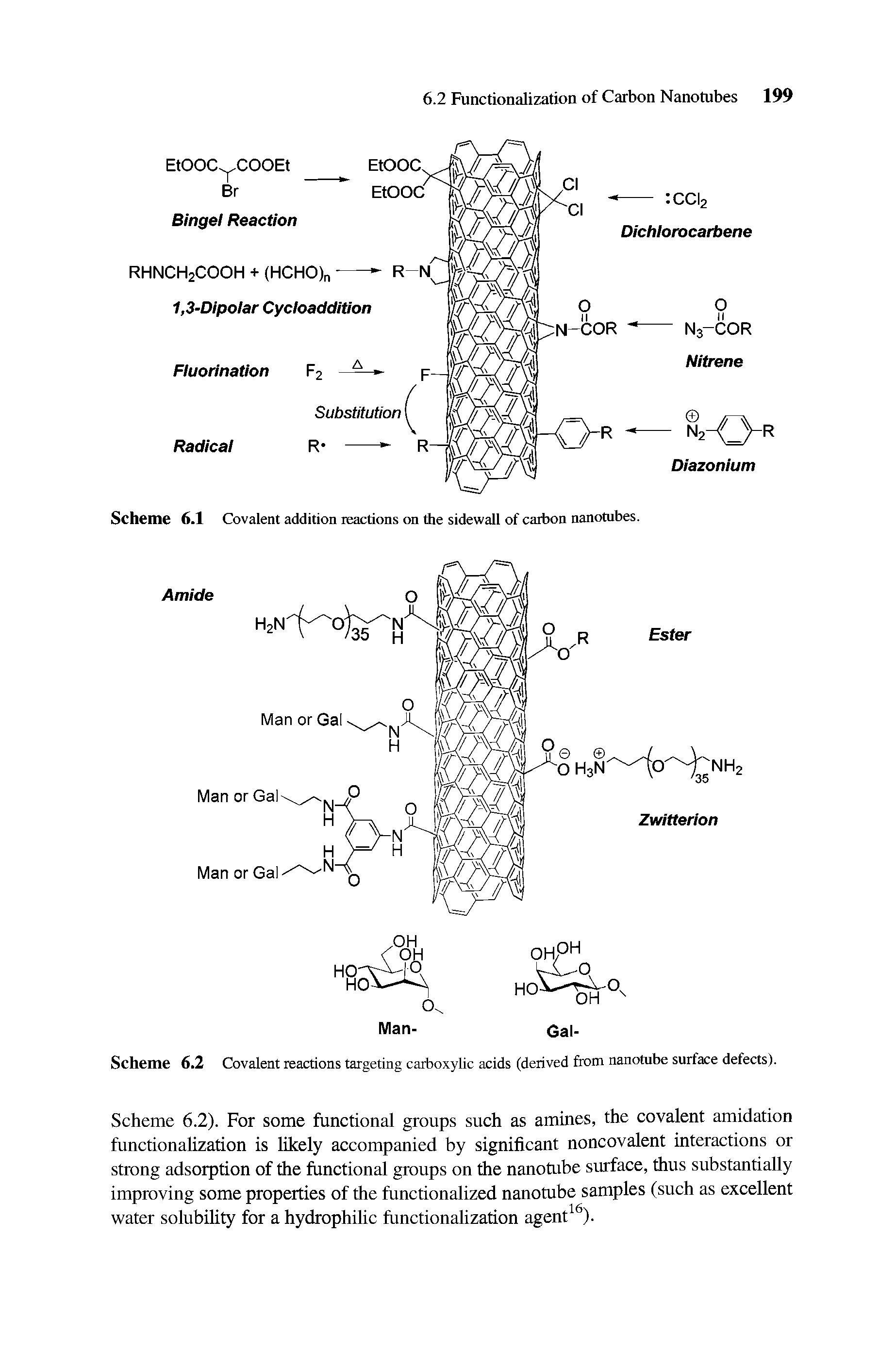 Scheme 6.2). For some functional groups such as amines, the covalent amidation functionalization is likely accompanied by significant noncovalent interactions or strong adsorption of the functional groups on the nanotube surface, thus substantially improving some properties of the functionalized nanotube samples (such as excellent water solubility for a hydrophilic functionalization agent16).