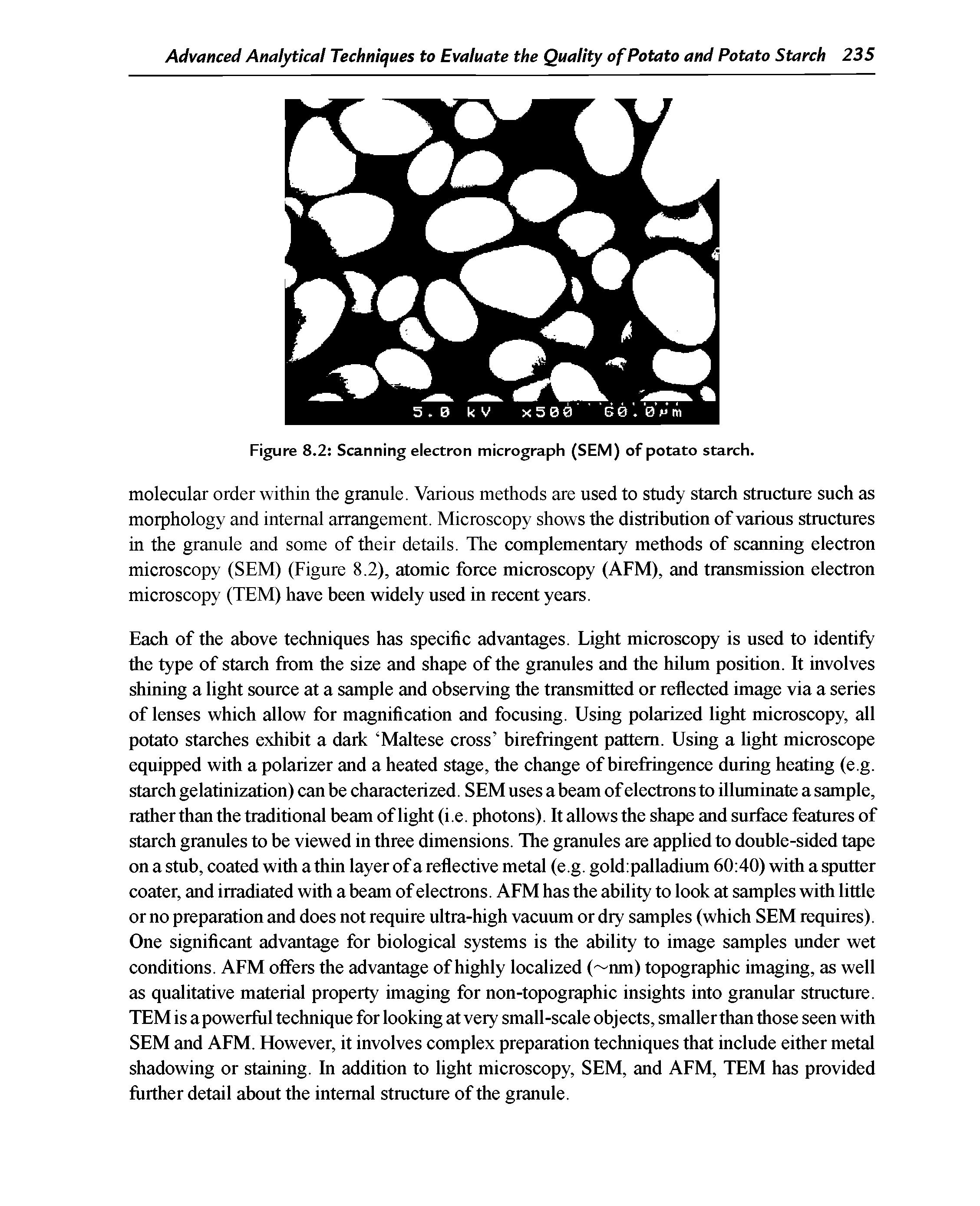 Figure 8.2 Scanning electron micrograph (SEM) of potato starch.