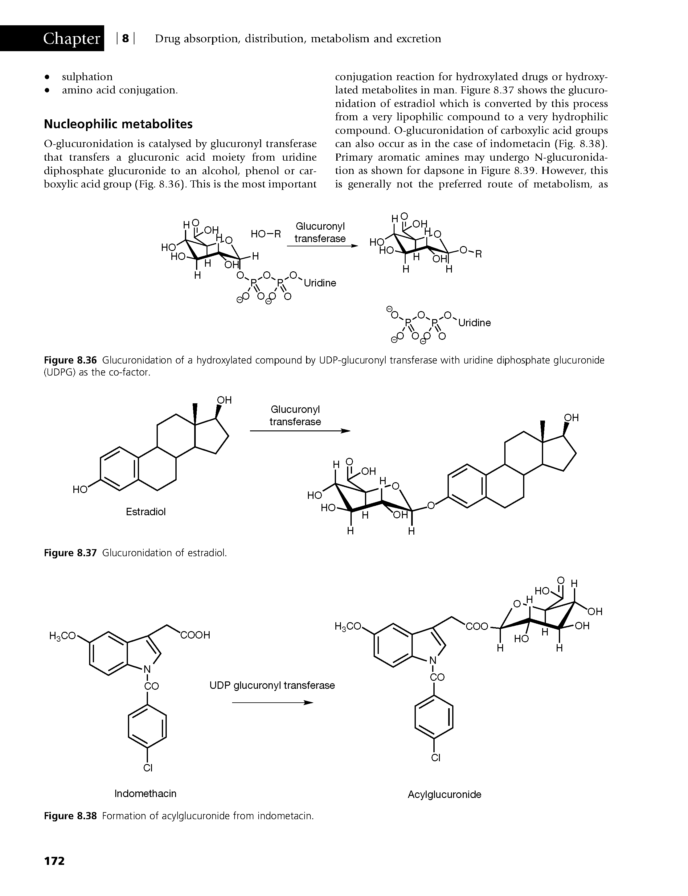 Figure 8.36 Glucuronidation of a hydroxylated compound by UDP-glucuronyl transferase with uridine diphosphate glucuronide (UDPG) as the co-factor.