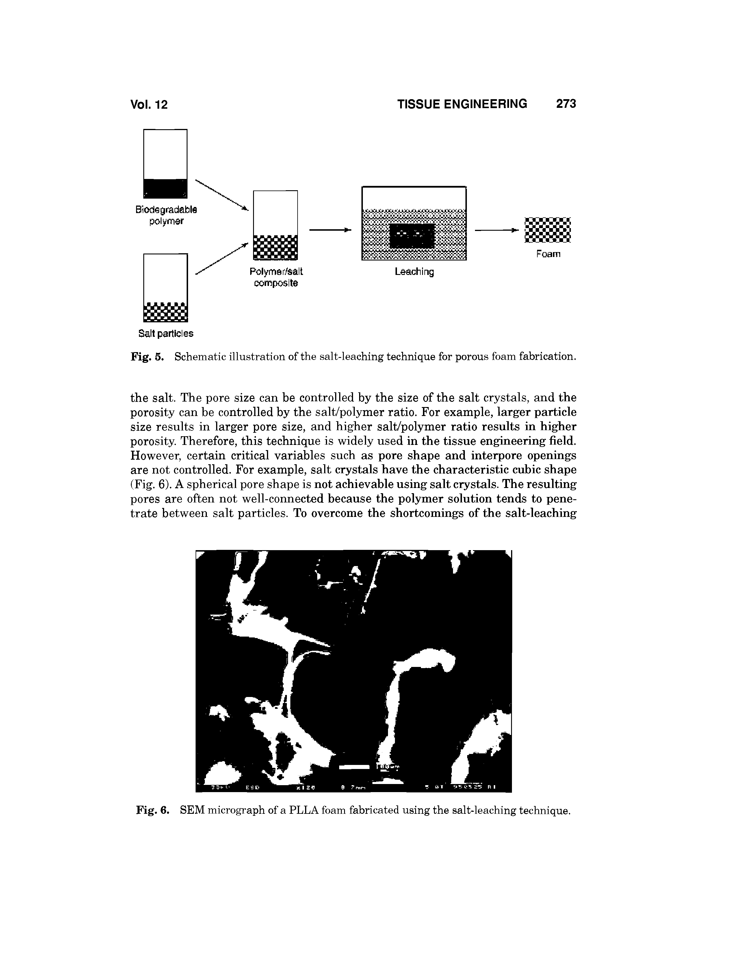 Fig. 5. Schematic illustration of the salt-leaching technique for porous foam fabrication.