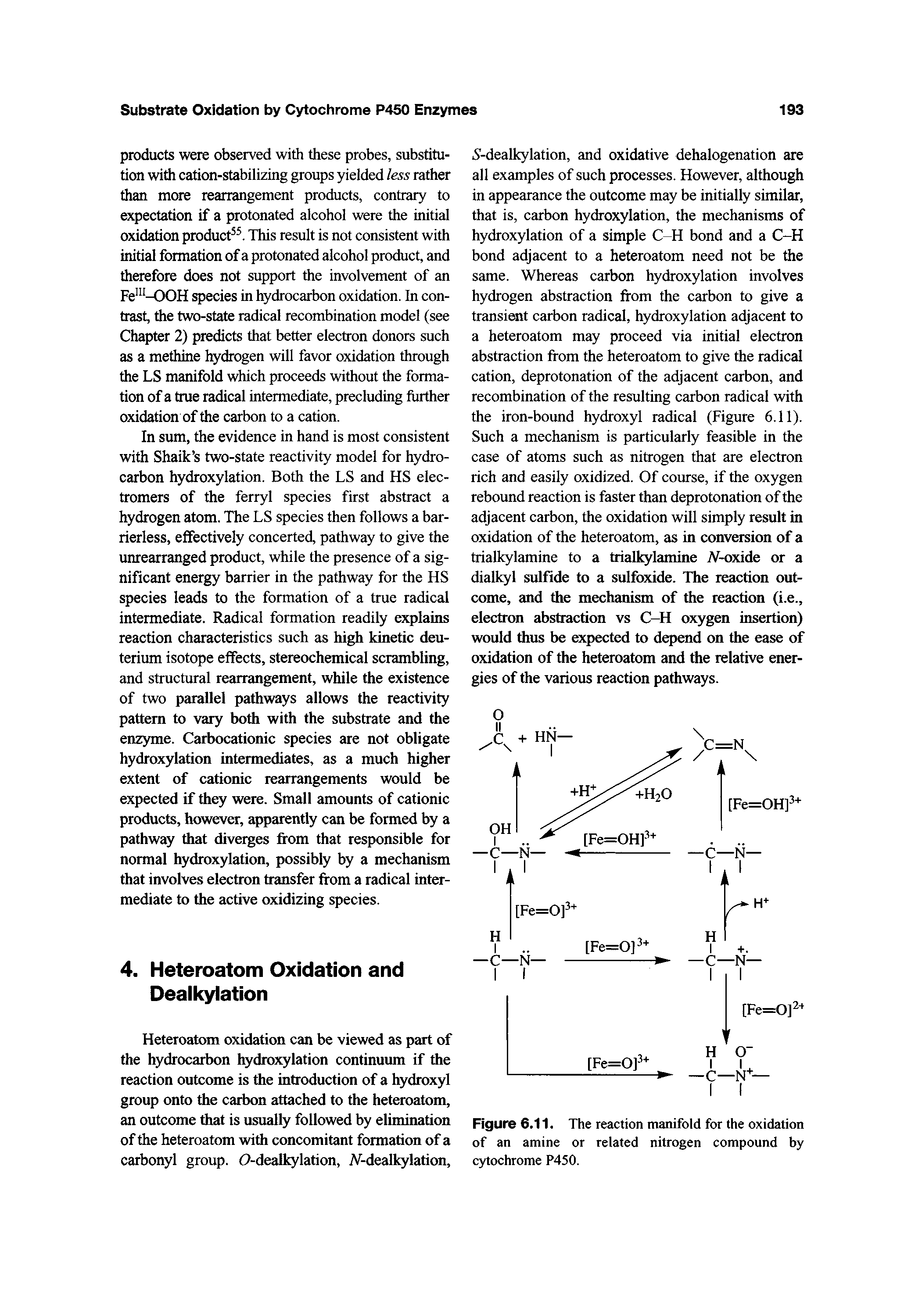 Figure 6.11. The reaction manifold for the oxidation of an amine or related nitrogen compound by cytochrome P450.