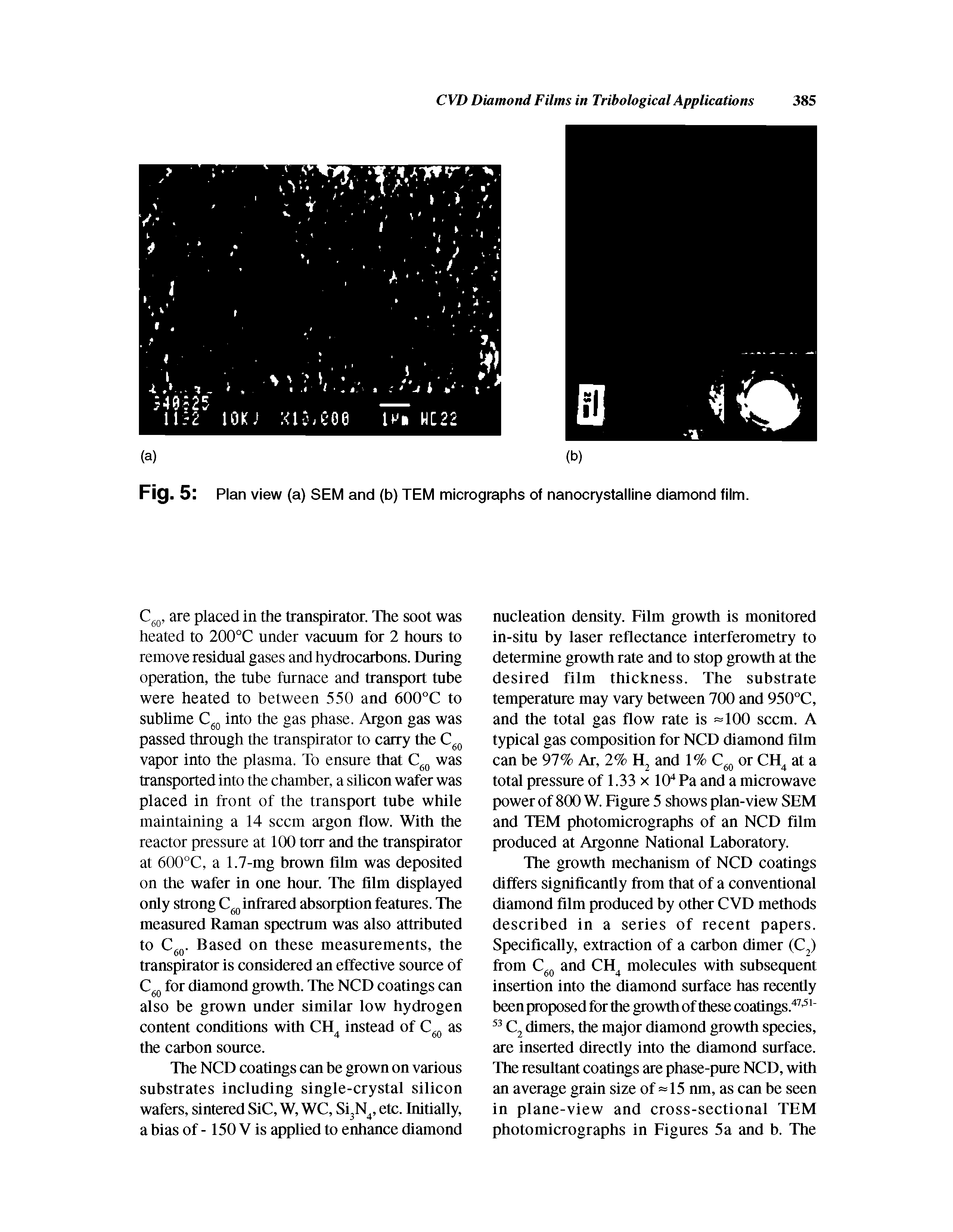 Fig. 5 Plan view (a) SEM and (b) TEM micrographs of nanocrystalline diamond film.