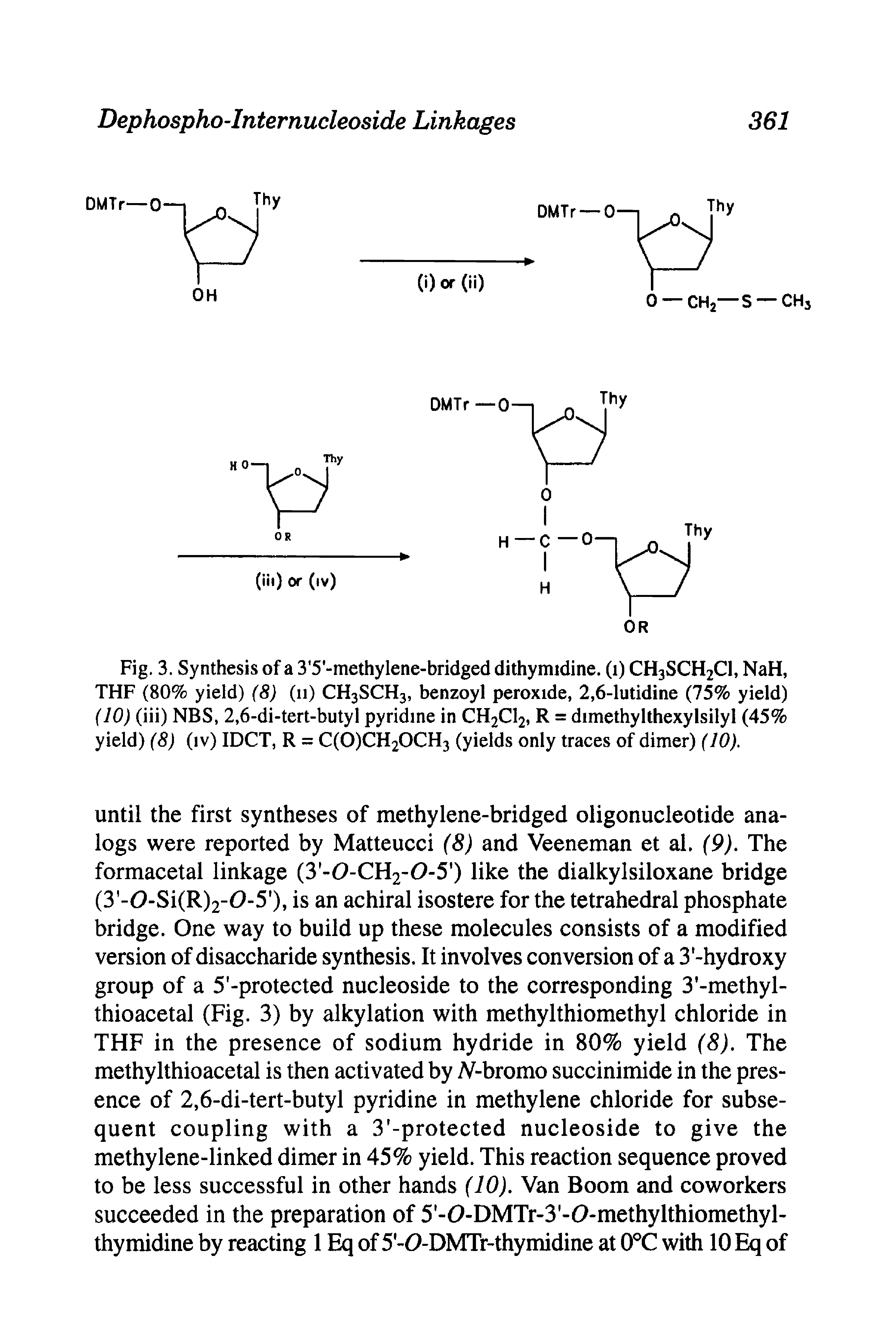 Fig. 3. Synthesis of a 3 5 -methylene-bridged dithynudine. (i) CH3SCH2CI, NaH, THF (80% yield) (8) (11) CH3SCH3, benzoyl peroxide, 2,6-lutidine (75% yield) (10) (iii) NBS, 2,6-di-tert-butyl pyridine in CH2CI2, R = dimethylthexylsilyl (45% yield) (8) (iv) IDCT, R = C(0)CH20CH3 (yields only traces of dimer) (10).