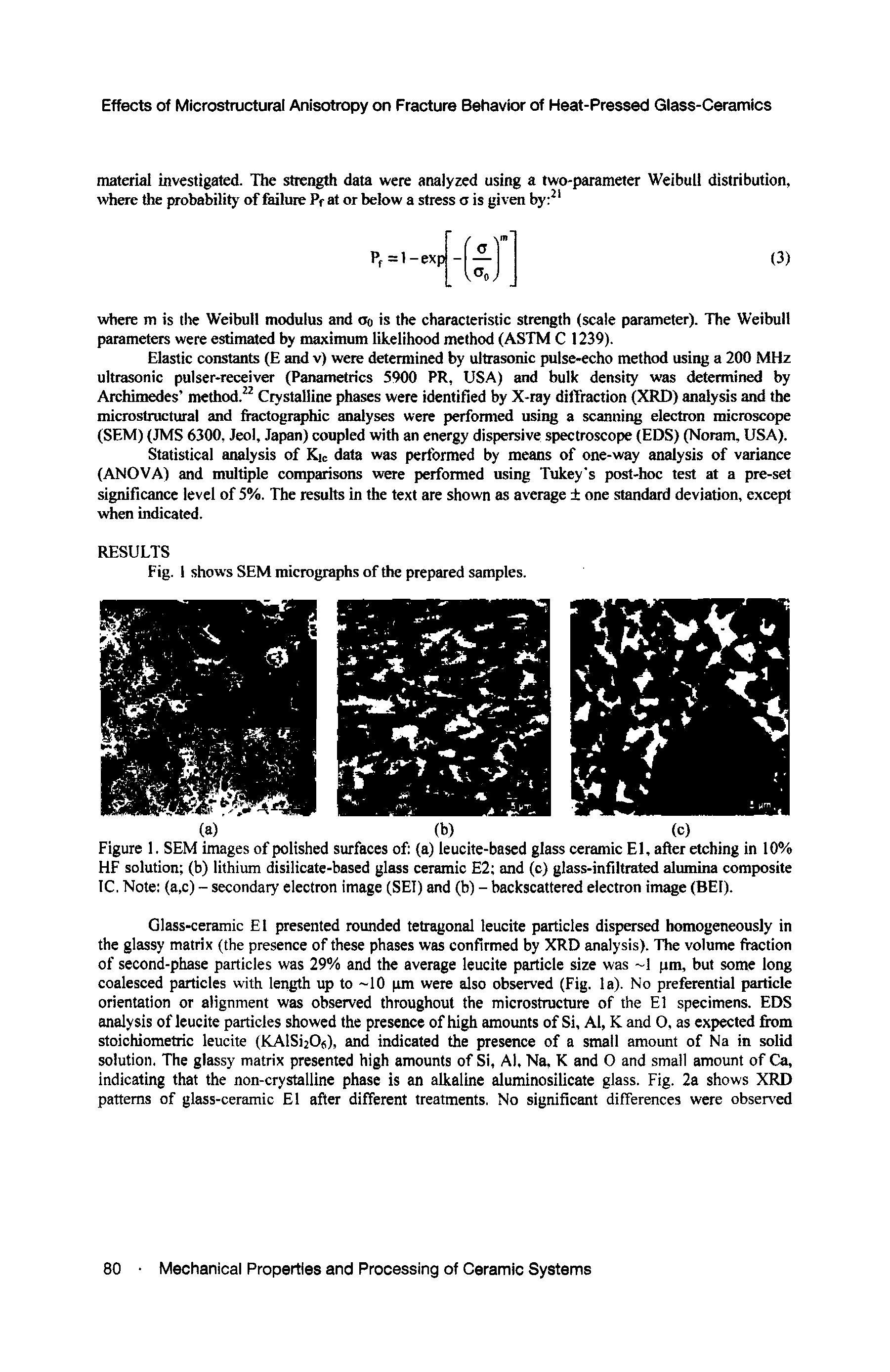 Figure 1. SEM Images of polished surfaces ofi (a) leucite-based glass ceramic El, after etching in 10% HF solution (b) lithium disilicate-based glass ceramic E2 and (c) glass-infiltrated alumina composite IC. Note (a,c) - secondary electron image (SET) and (b) - backscattered electron im e (BEF).