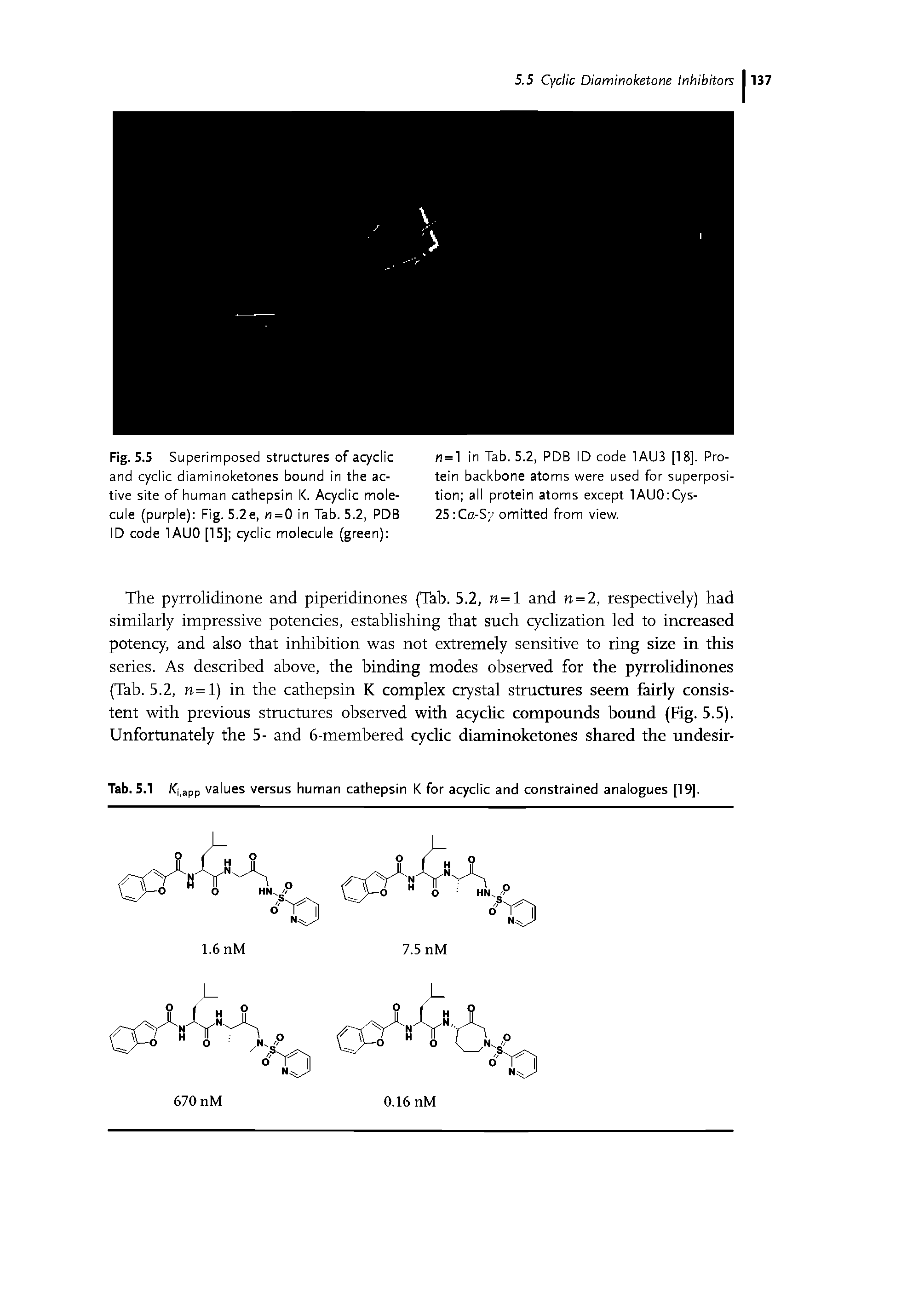 Tab. S.1 (f, app values versus human cathepsin K for acyclic and constrained analogues [19].