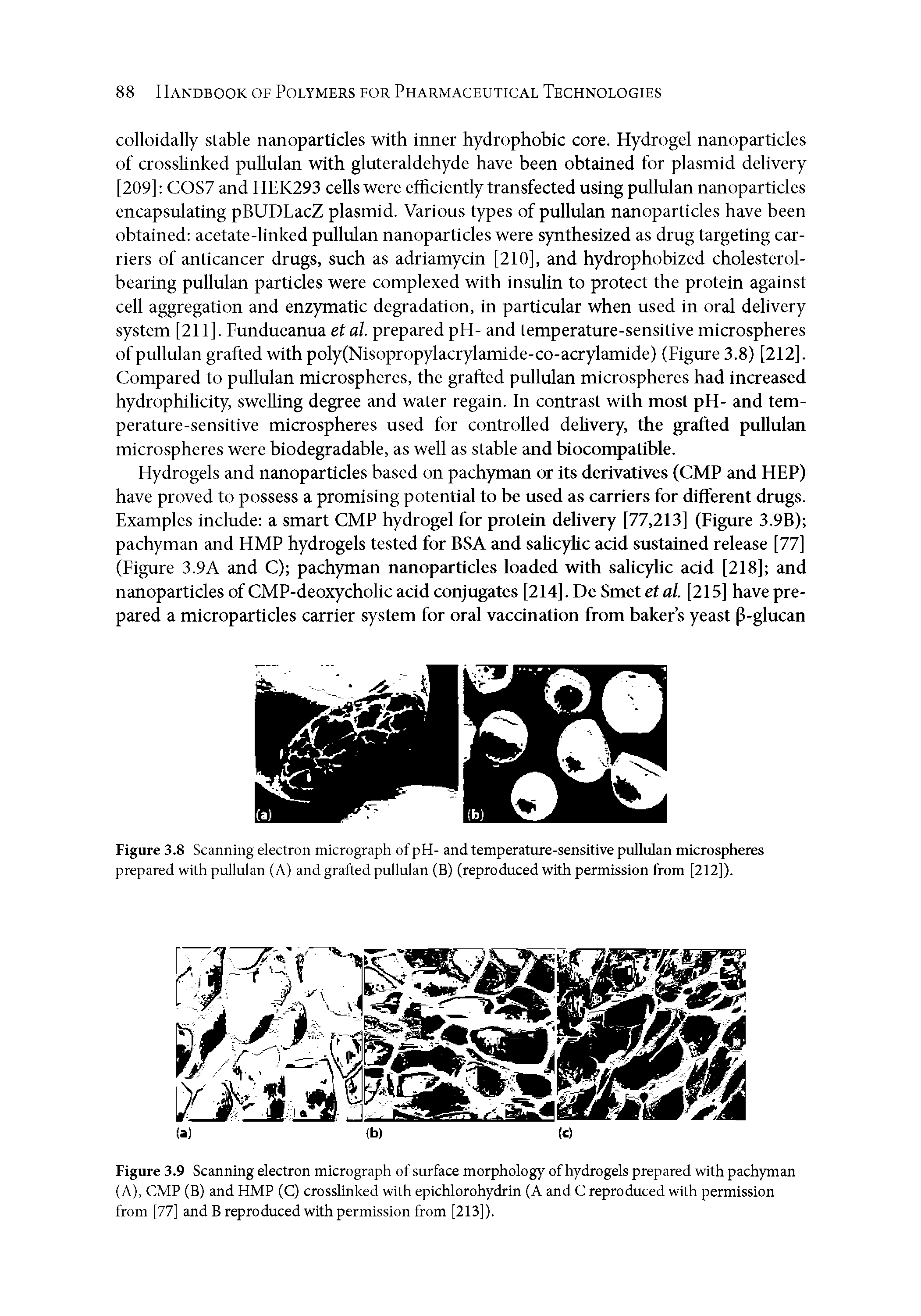 Figure 3.9 Scanning electron micrograph of surface morphology of hydrogels prepared with pachyman (A), CMP (B) and HMP (C) crosslinked with epichlorohydrin (A and C reproduced with permission from [77] and B reproduced with permission from [213]).