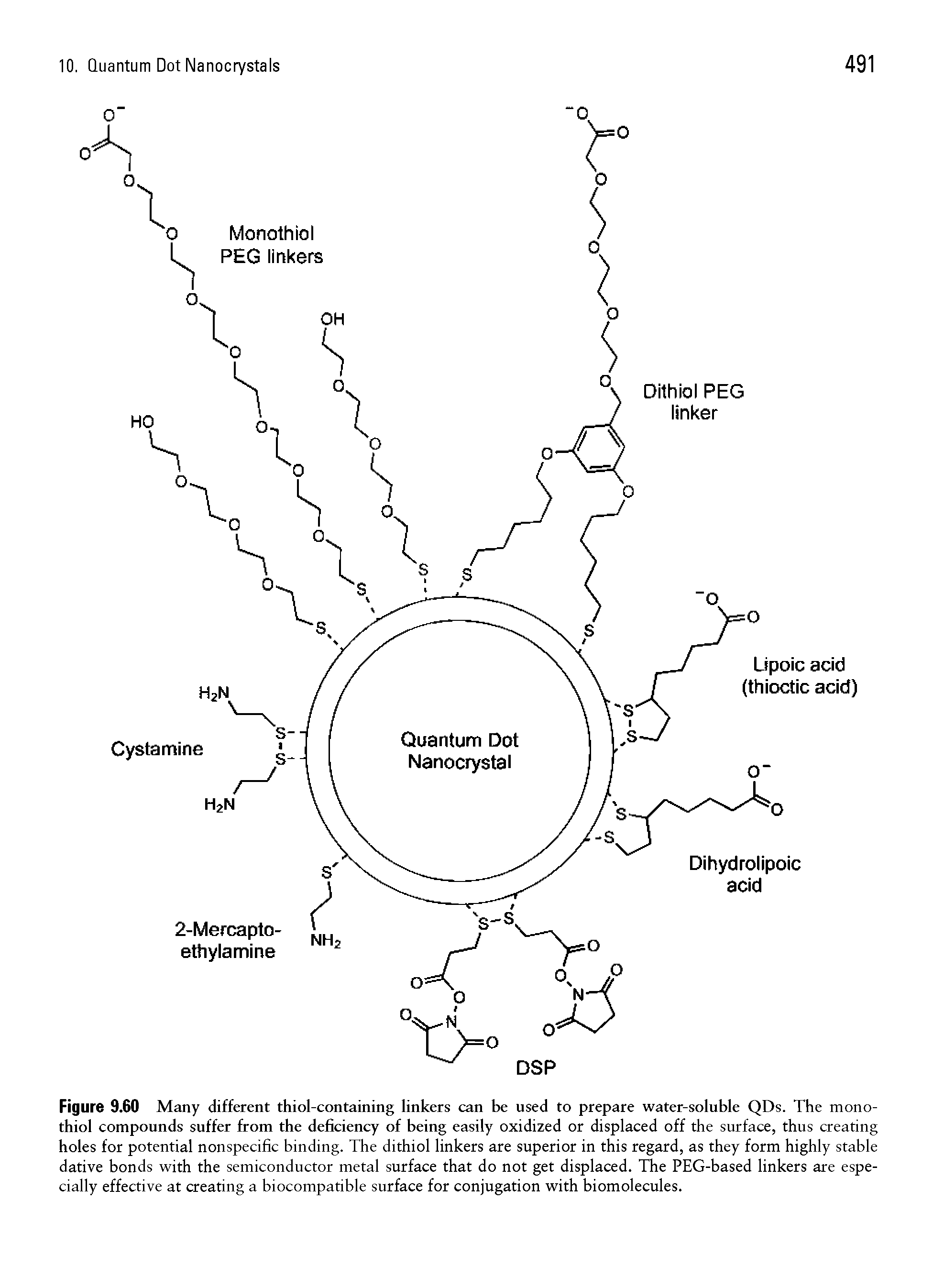 Figure 9.60 Many different thiol-containing linkers can be used to prepare water-soluble QDs. The monothiol compounds suffer from the deficiency of being easily oxidized or displaced off the surface, thus creating holes for potential nonspecific binding. The dithiol linkers are superior in this regard, as they form highly stable dative bonds with the semiconductor metal surface that do not get displaced. The PEG-based linkers are especially effective at creating a biocompatible surface for conjugation with biomolecules.