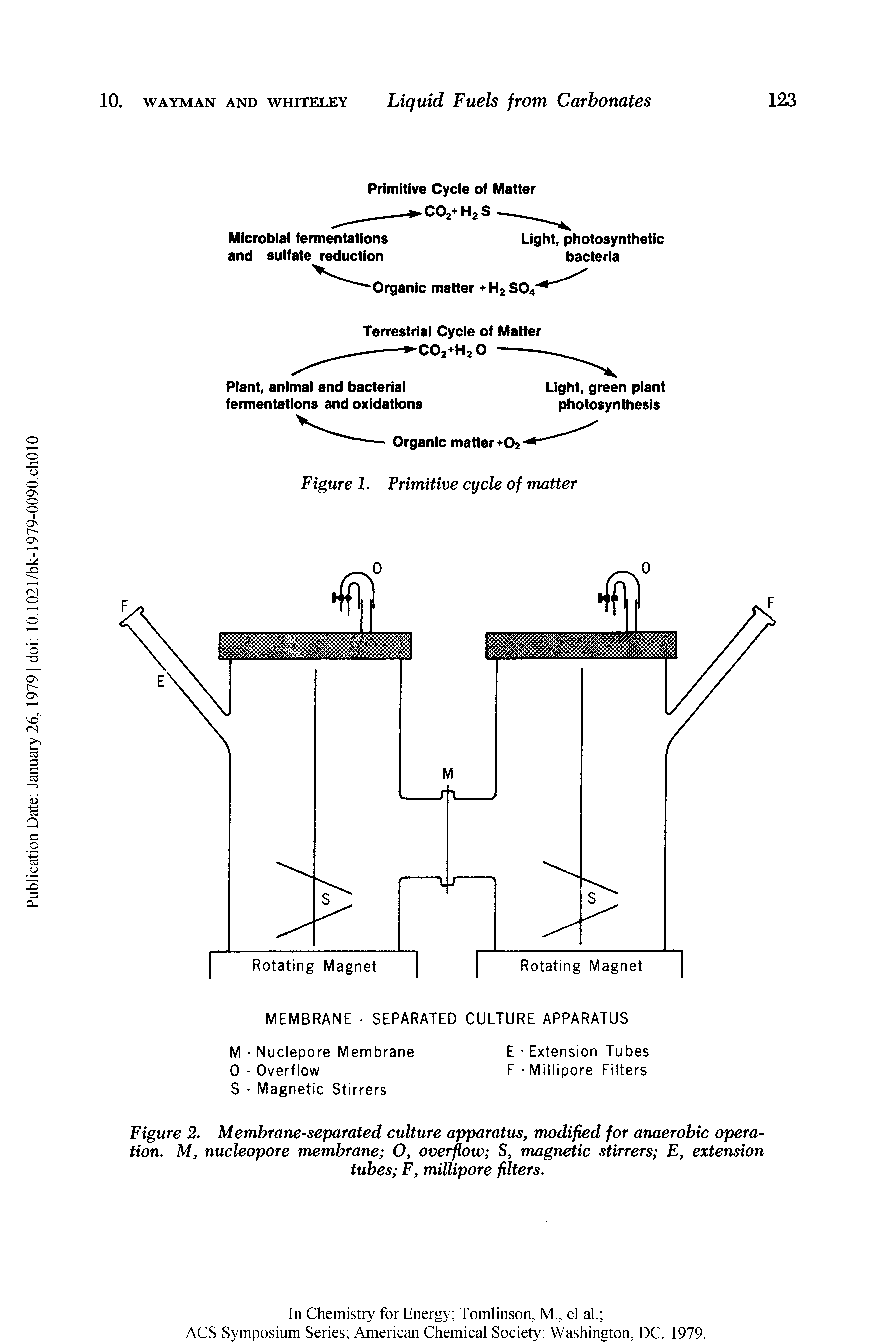 Figure 2. Membrane-separated culture apparatus, modified for anaerobic operation, M, nucleopore membrane O, overflow S, magnetic stirrers E, extension tubes F, millipore filters.