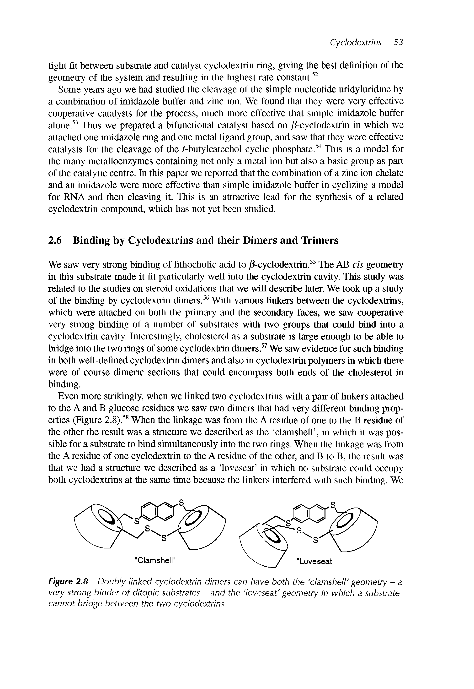 Figure 2.8 Doubly-linked cyclodextrin dimers can have both the clamshell geometry - a very strong binder of ditopic substrates - and the loveseat geometry in which a substrate cannot bridge between the two cyclodextrins...