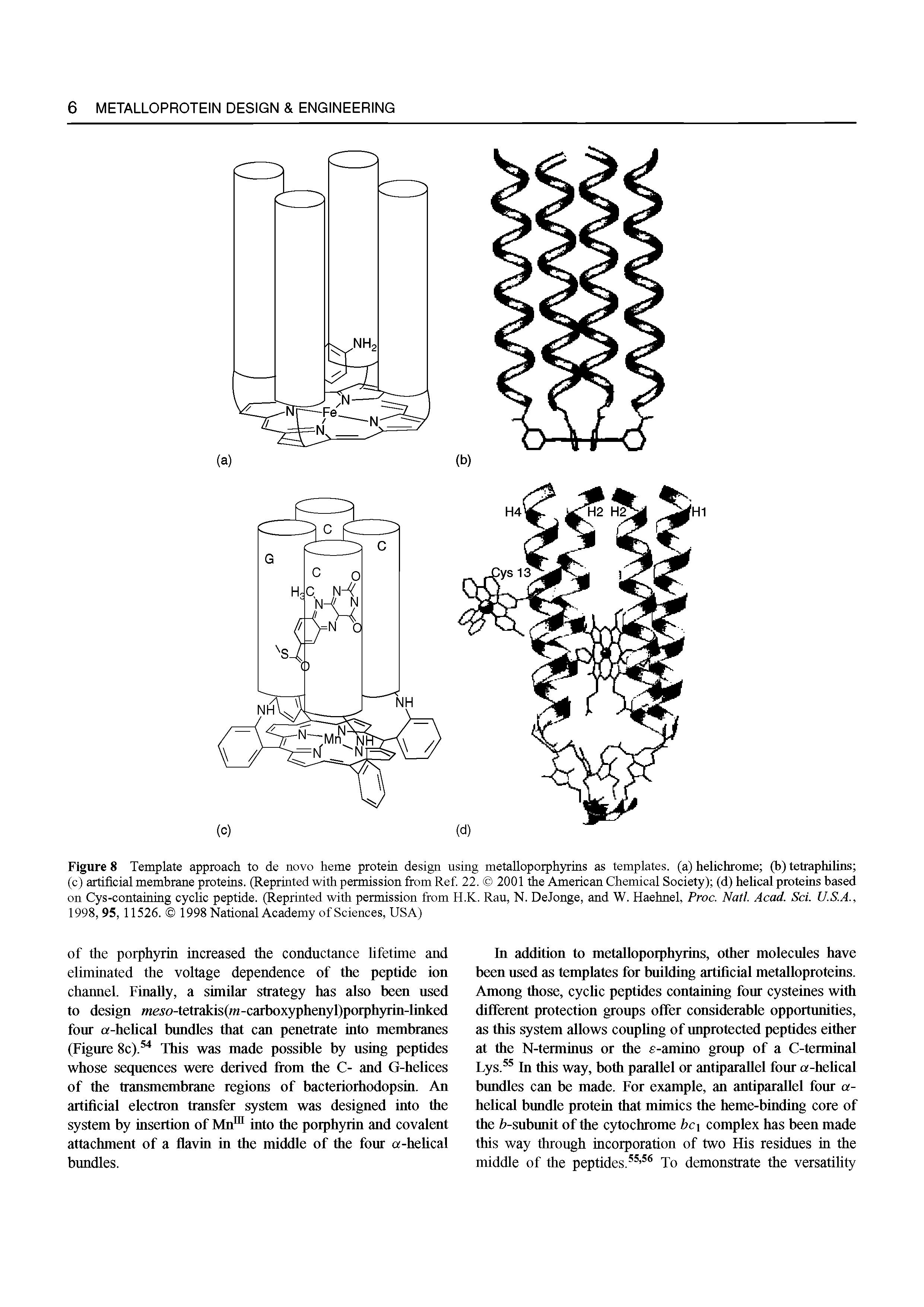 Figure 8 Template approach to de novo heme protein design using metalloporphyrins as templates, (a) helichrome (b) tetraphilins (c) artificial membrane proteins. (Reprinted with permission from Ref. 22. 2001 the American Chemical Society) (d) helical proteins based on Cys-containing cyclic peptide. (Reprinted with permission from H.K. Ran, N. DeJonge, and W. Haehnel, Proc. Natl. Acad. Sci. U.S.A., 1998, 95, 11526. 1998 National Academy of Sciences, USA)...